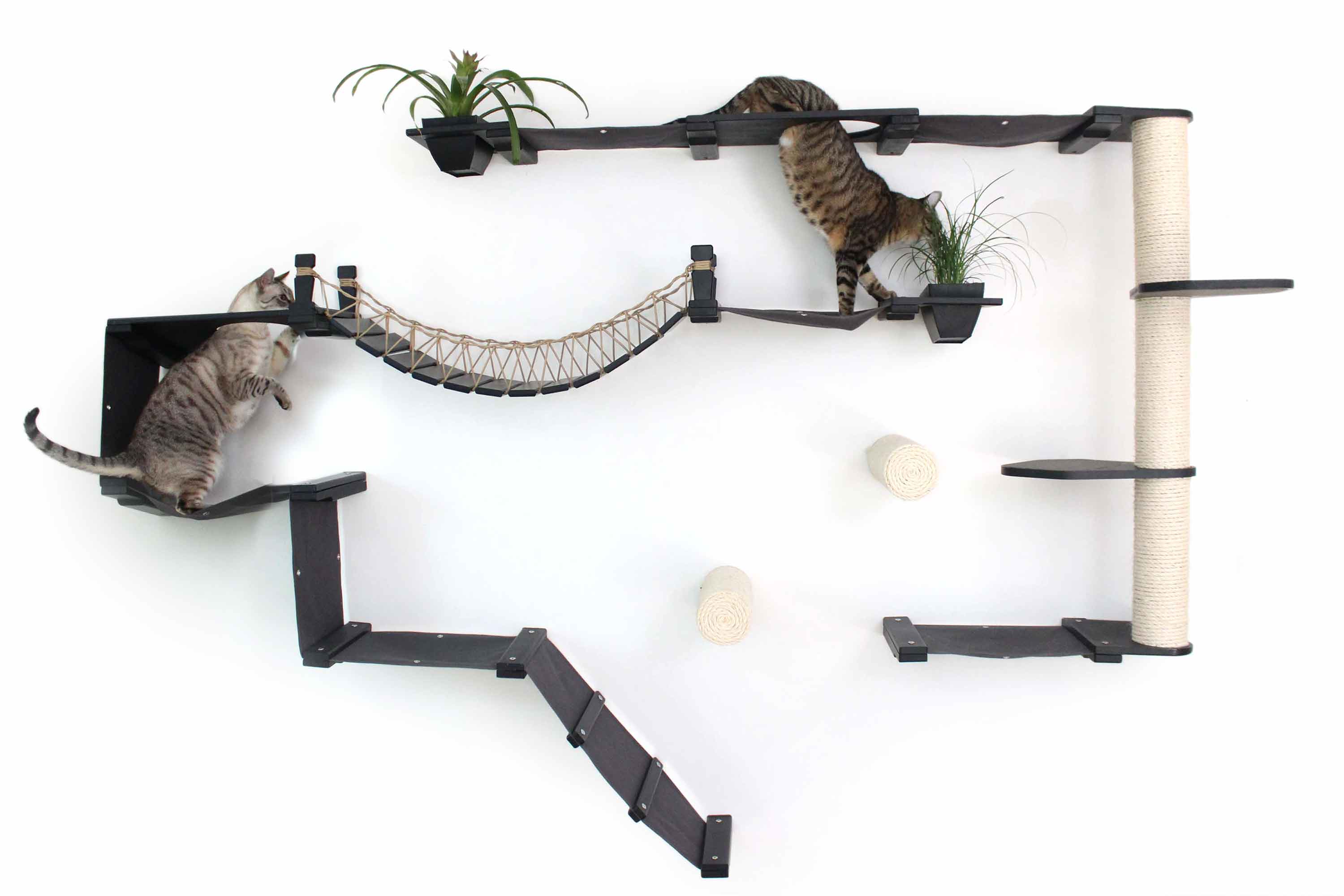 The Juggernaut - Indoor Cat Playground for Wall - Image 15