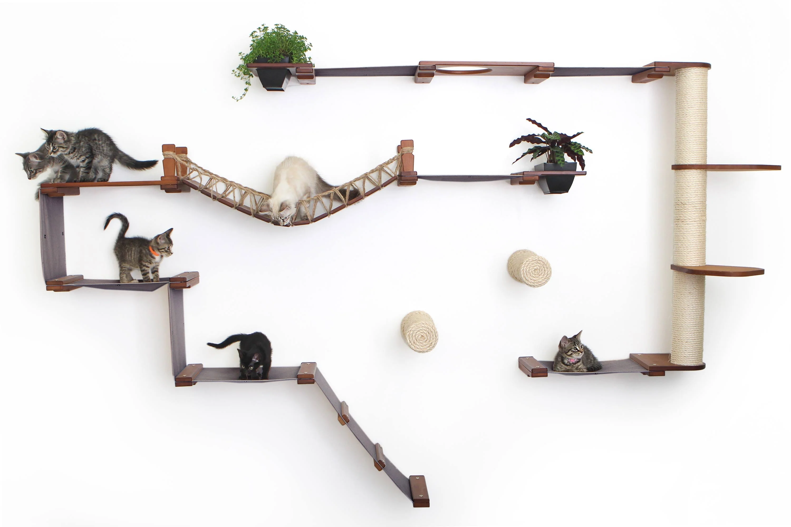 The Juggernaut - Indoor Cat Playground for Wall - Image 19