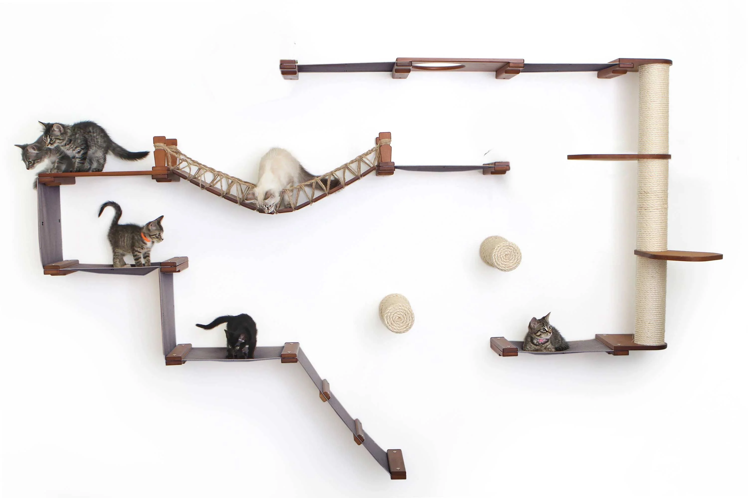 The Juggernaut - Indoor Cat Playground for Wall - Image 20