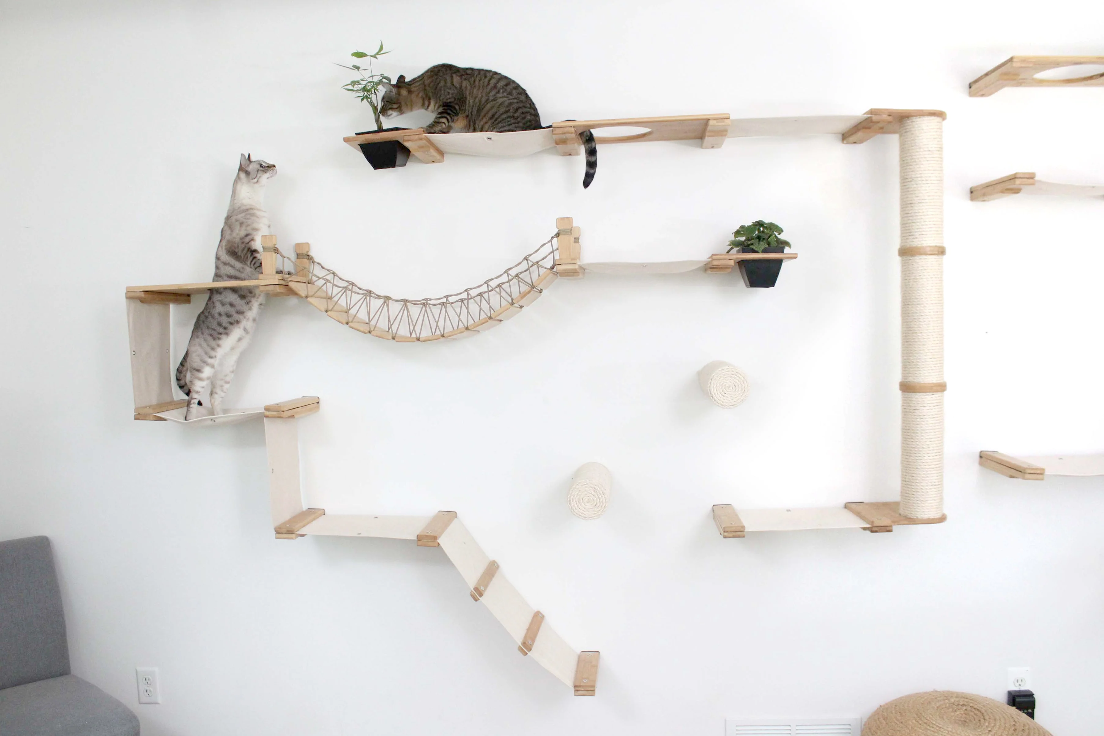 The Juggernaut - Indoor Cat Playground for Wall - Image 28