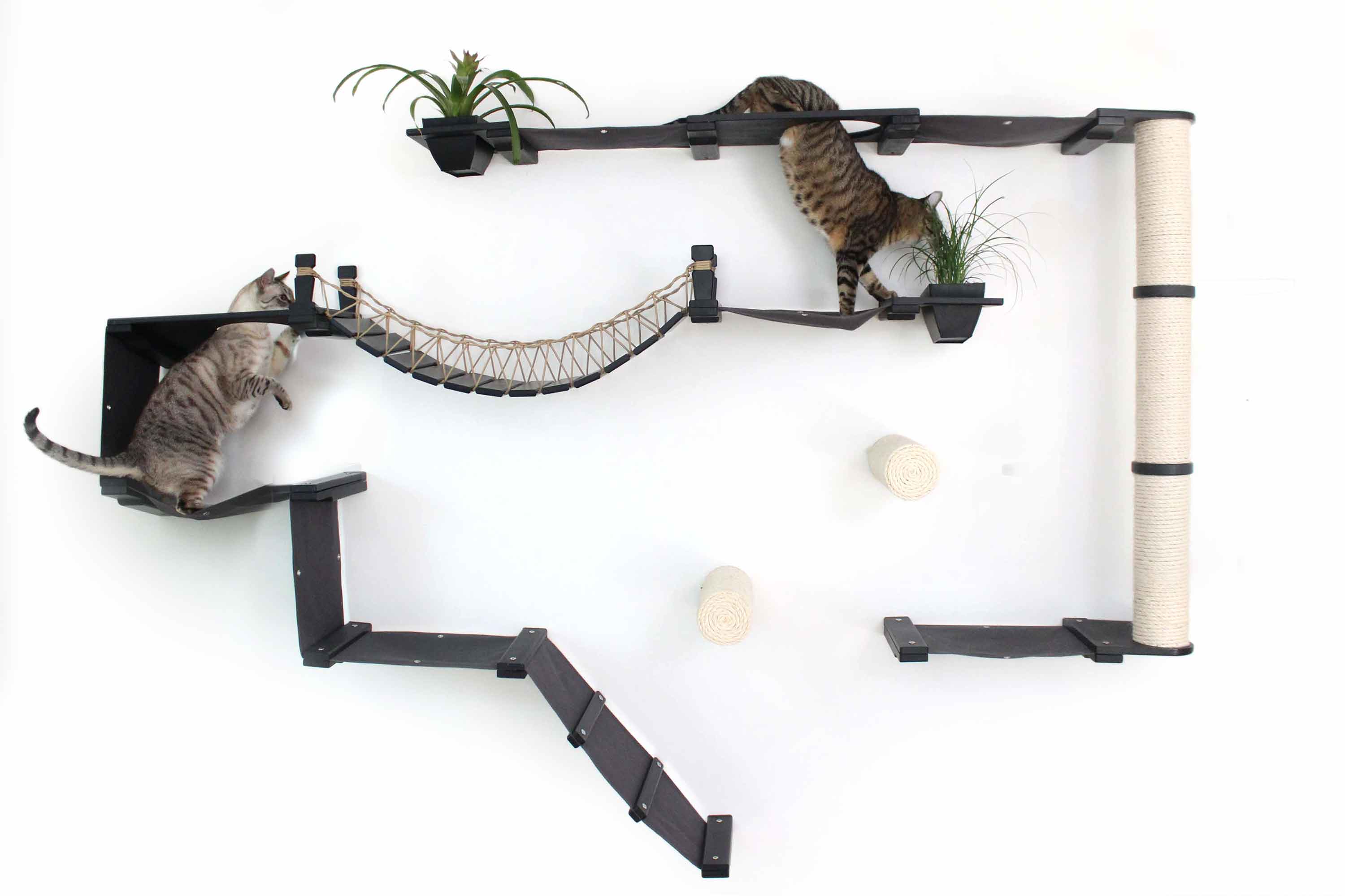 The Juggernaut - Indoor Cat Playground for Wall - Image 30