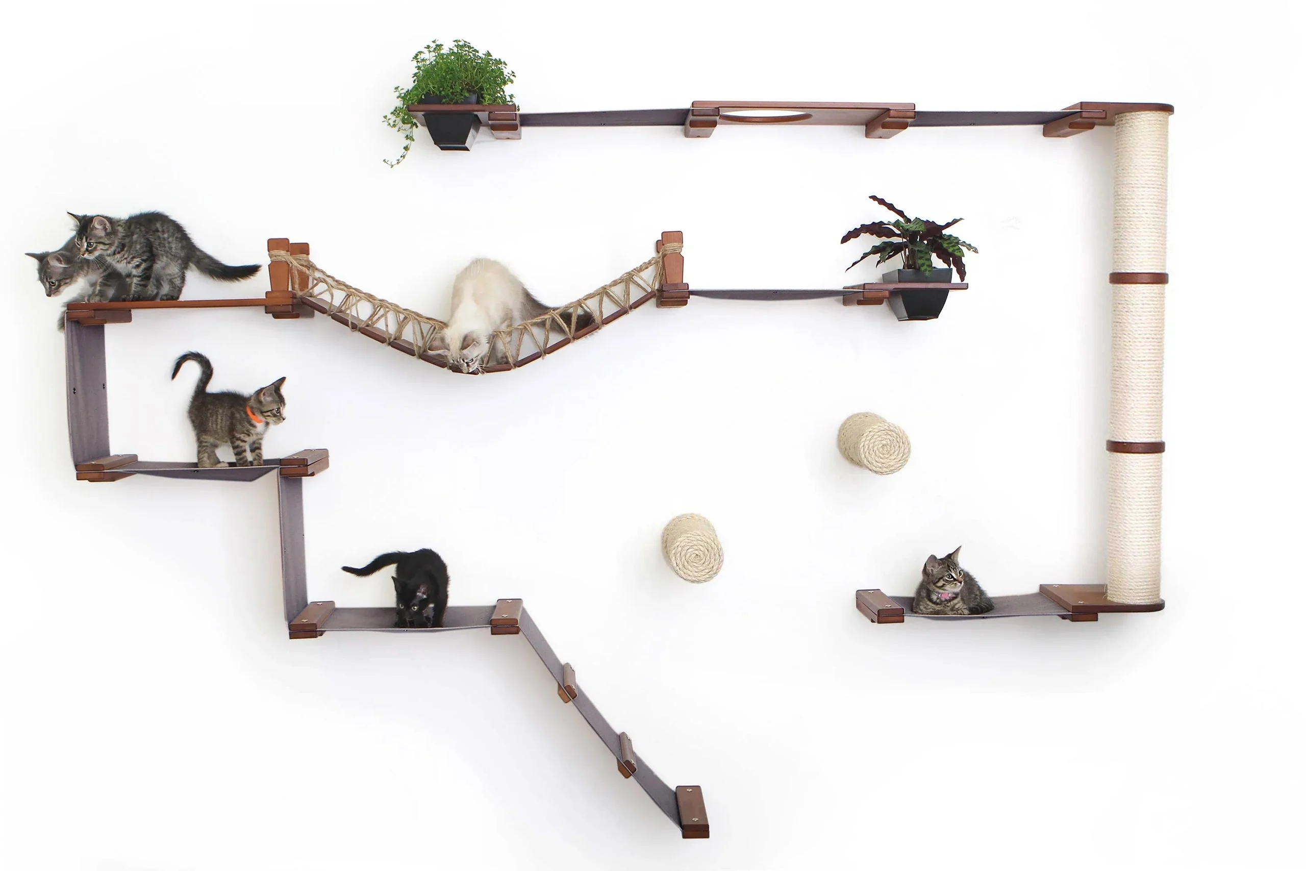 The Juggernaut - Indoor Cat Playground for Wall - Image 33