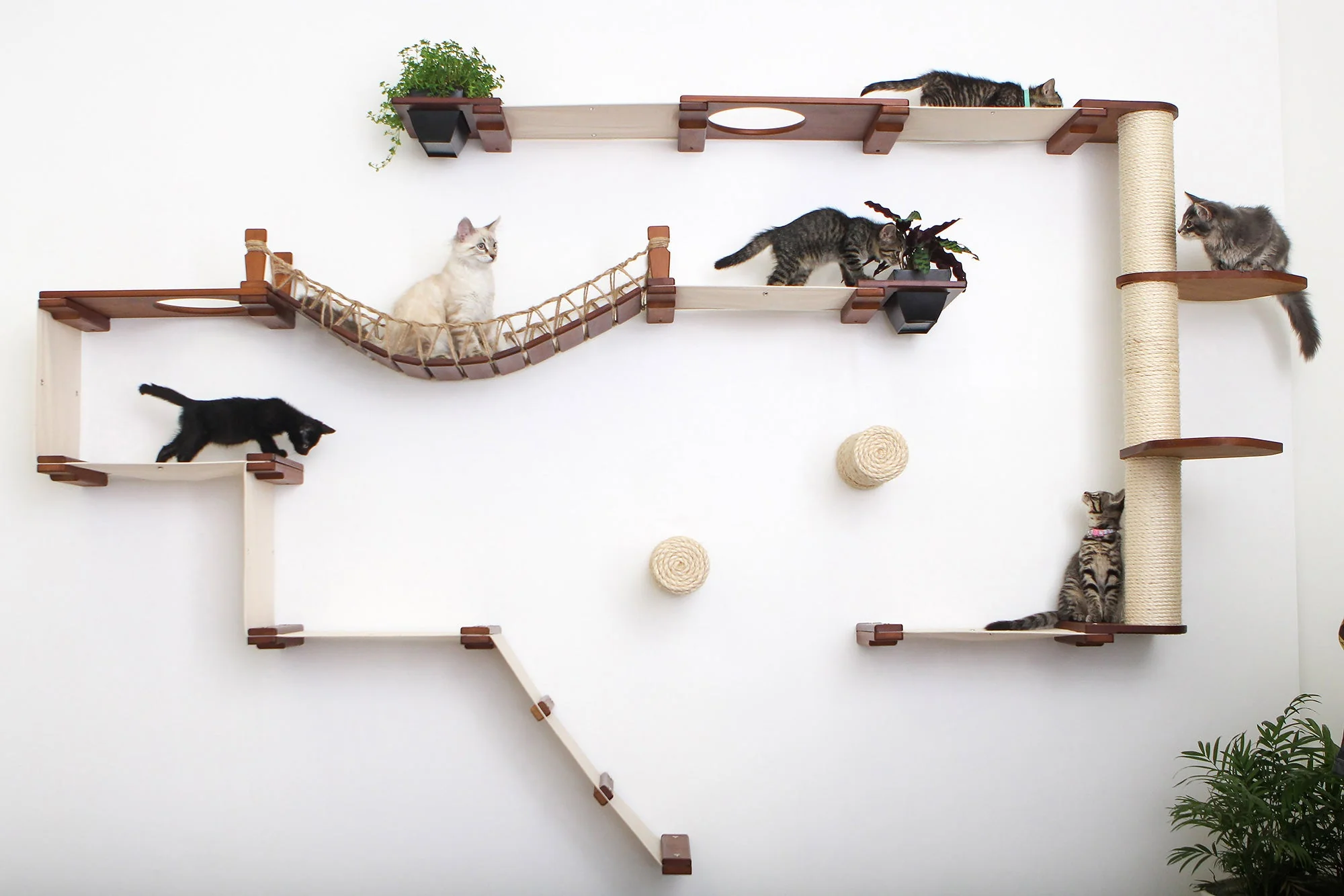 The Juggernaut - Indoor Cat Playground for Wall - Image 8