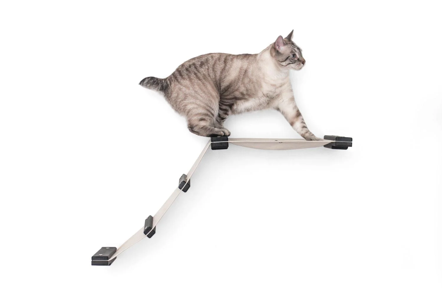 The Lift- Cat Hammock Bed - Image 11