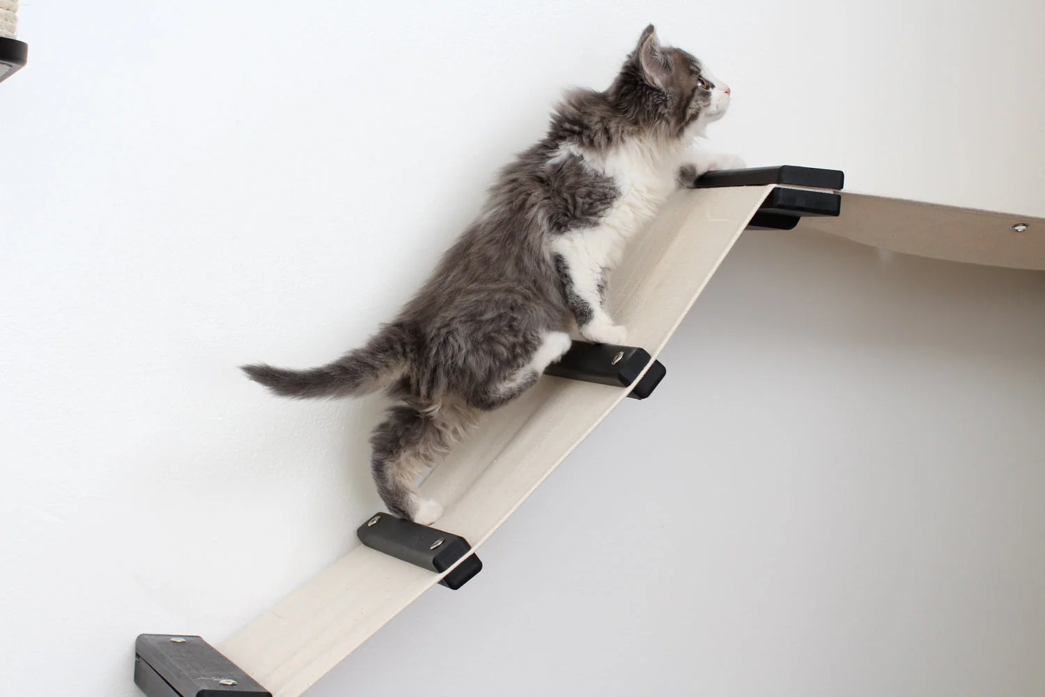 The Lift- Cat Hammock Bed - Image 4