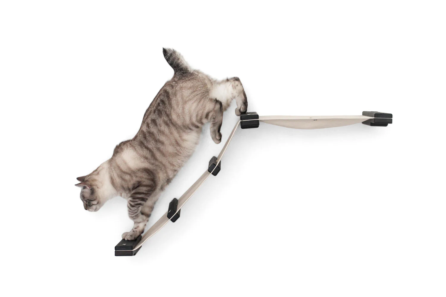 The Lift- Cat Hammock Bed - Image 6