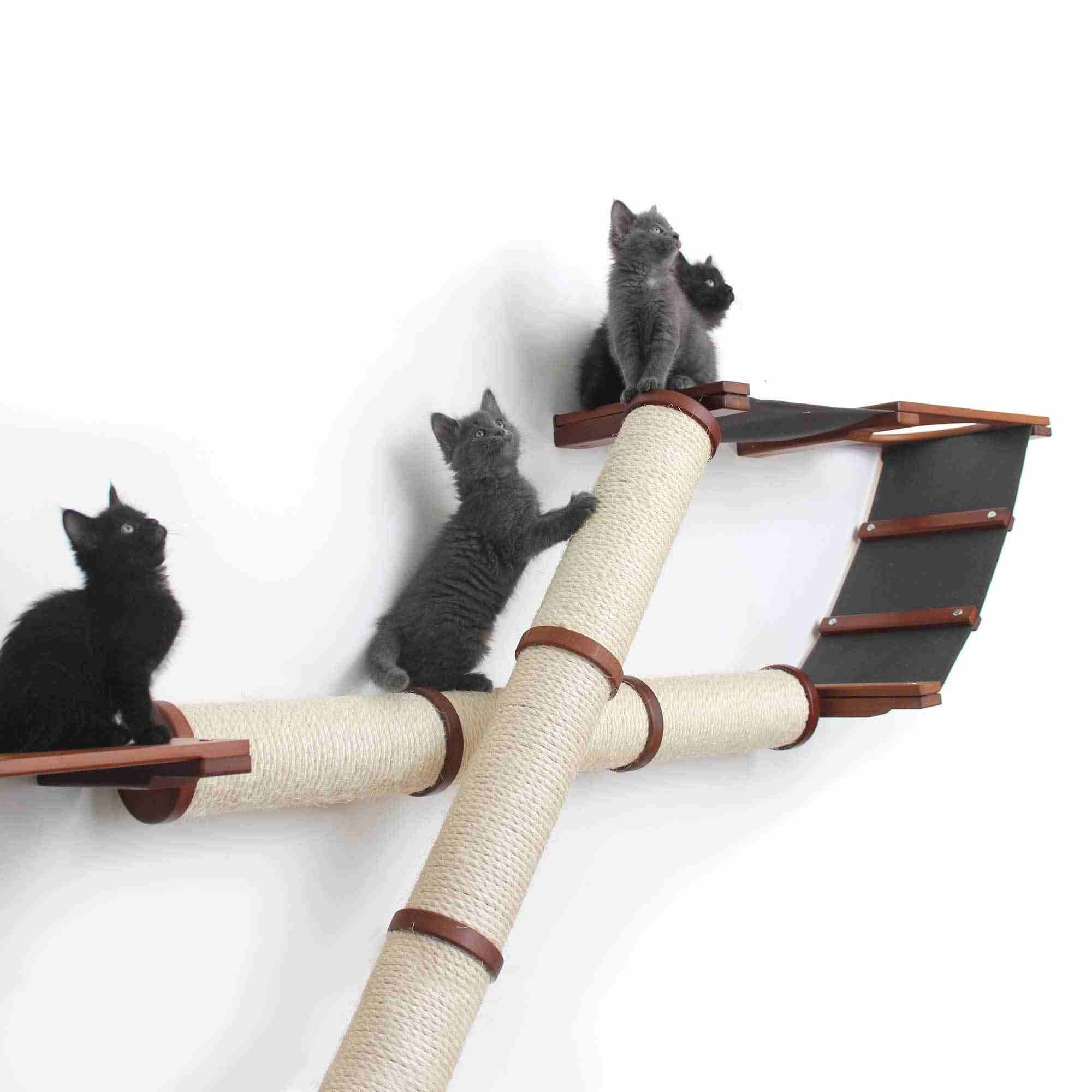 The Plateau - Horizontal Cat Scratcher Bed Set - Image 13