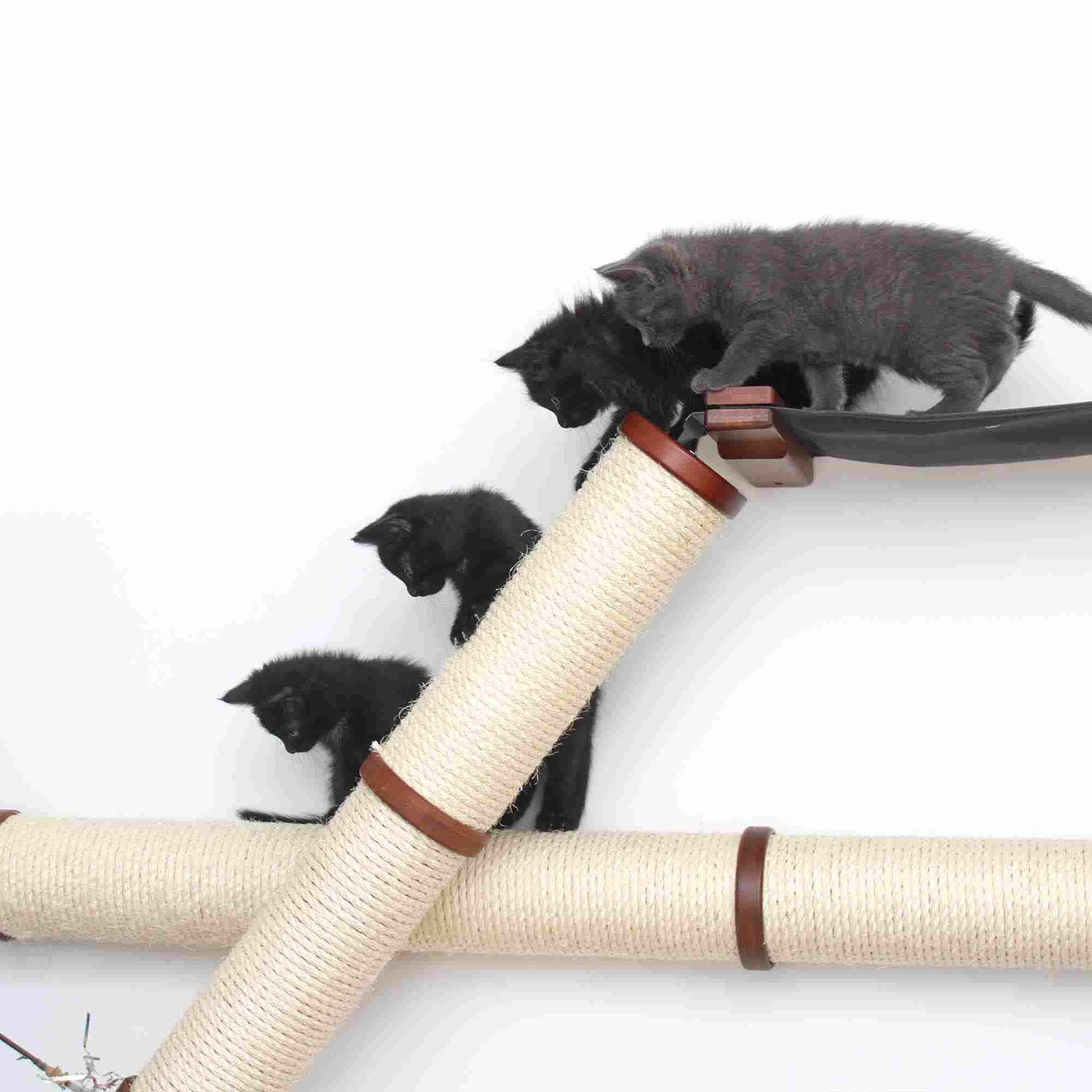The Plateau - Horizontal Cat Scratcher Bed Set - Image 14