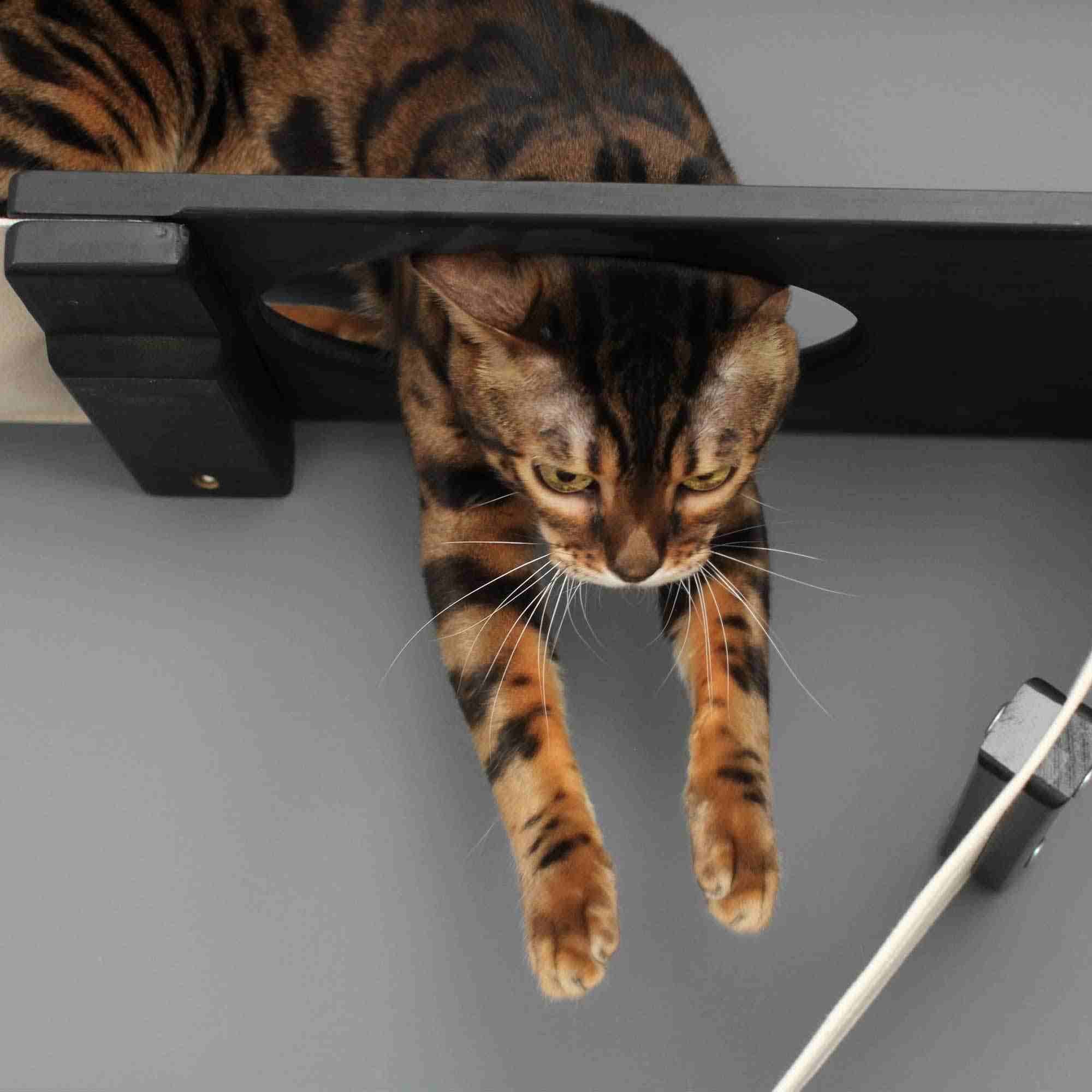 The Plateau - Horizontal Cat Scratcher Bed Set - Image 4