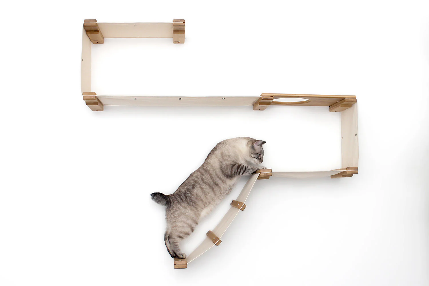 The Play - A Cat Play Wall System - Image 16