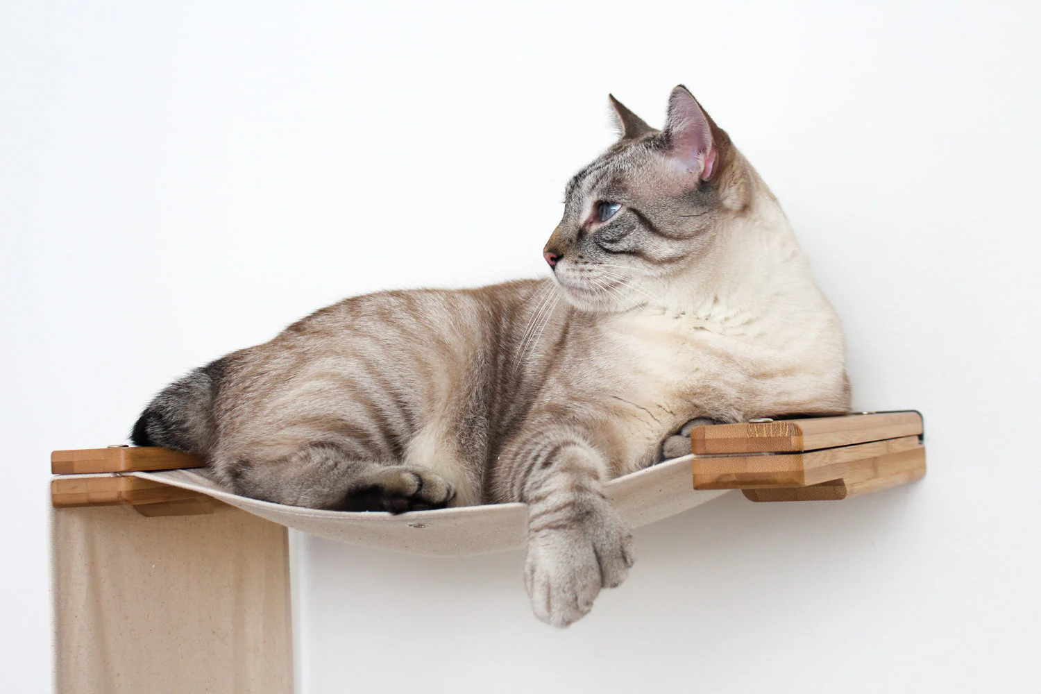 The Play - A Cat Play Wall System - Image 2