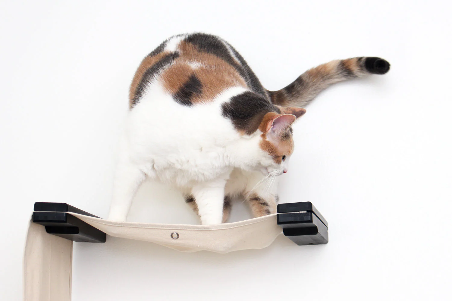The Play - A Cat Play Wall System - Image 6