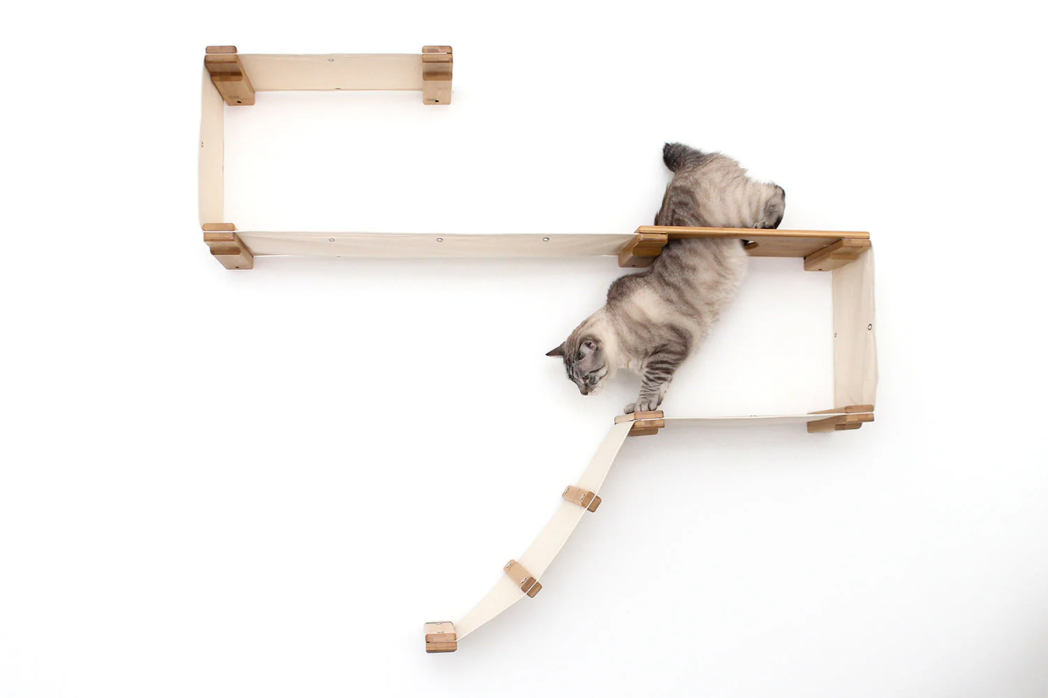 The Play - A Cat Play Wall System - Image 8