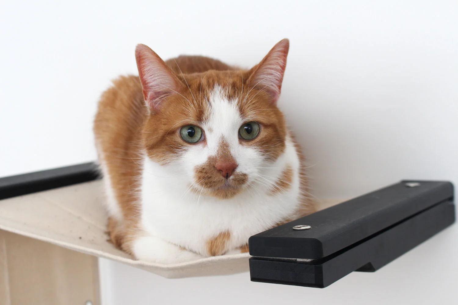 The Play - A Cat Play Wall System - Image 9