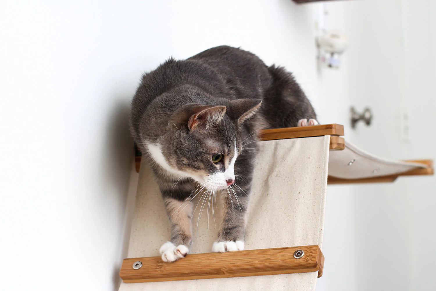 The Raceway - Wall Mounted Cat Hammock - Image 2