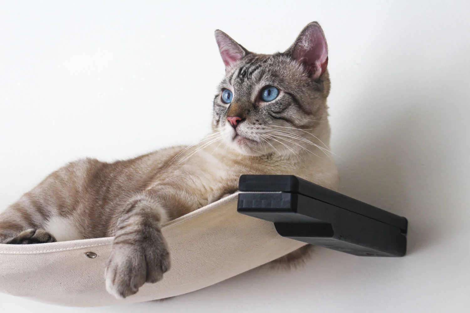 The Raceway - Wall Mounted Cat Hammock - Image 3