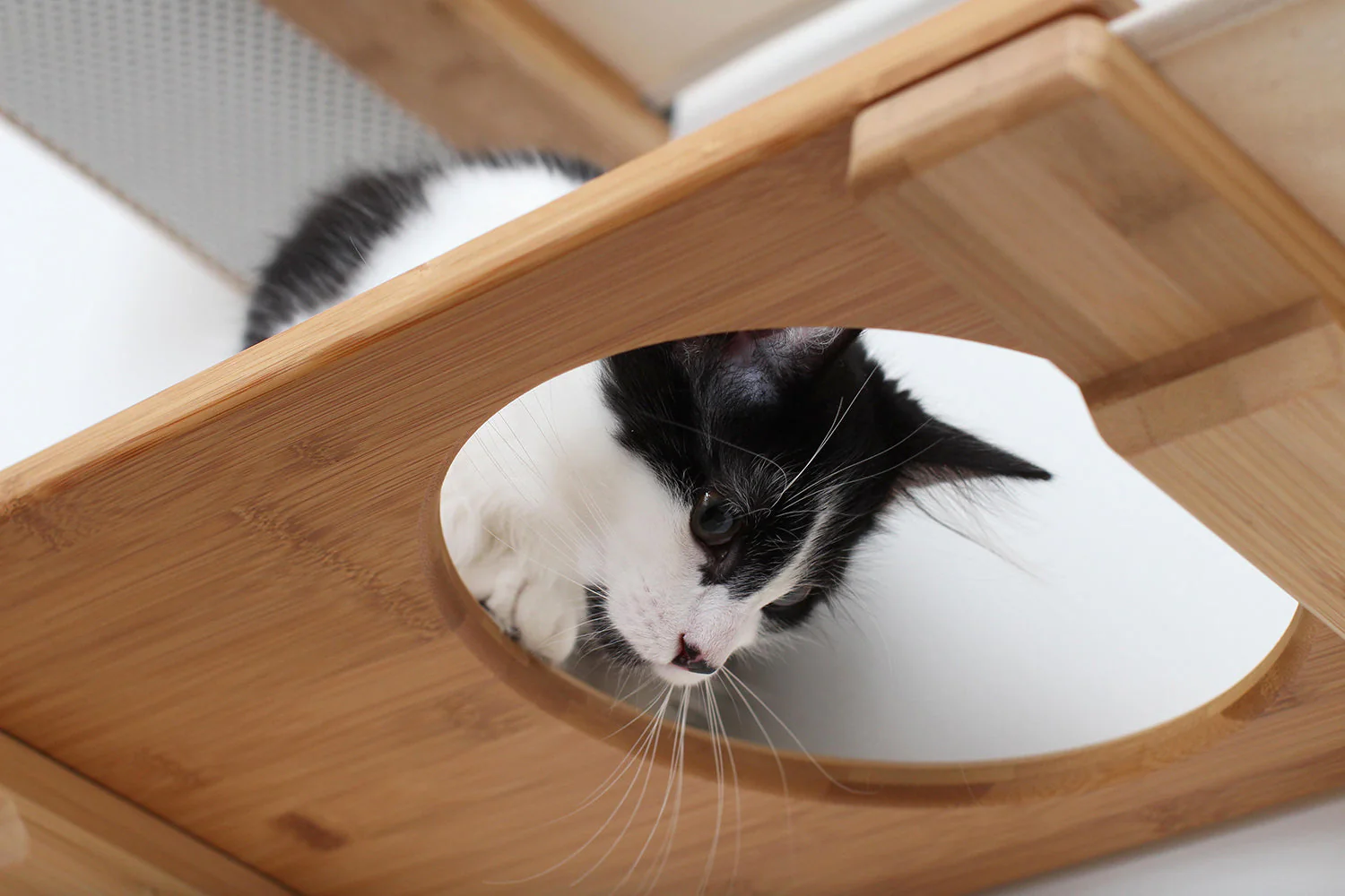 The Roman - A Wall Mounted Cat Scratcher Tree - Image 16