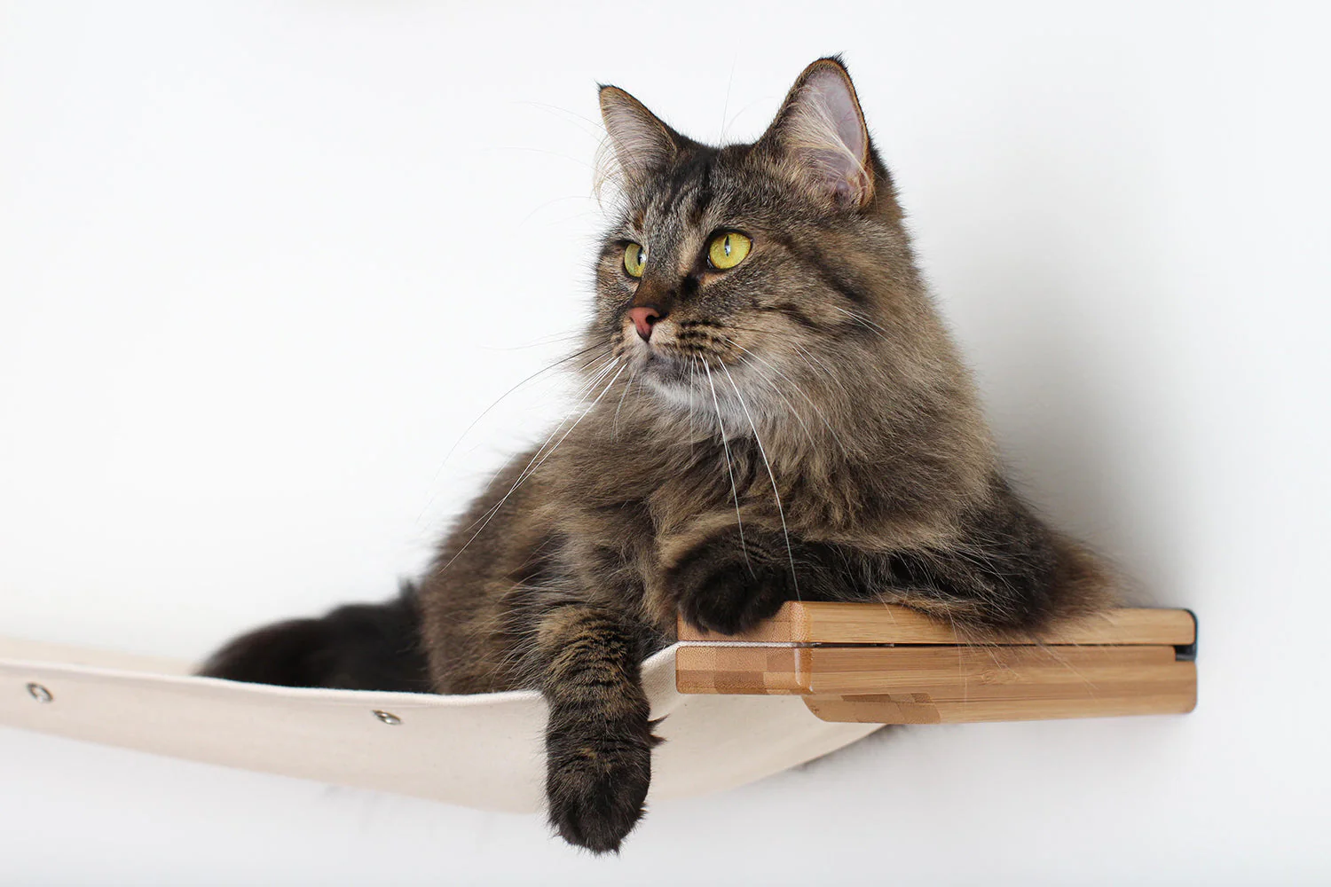 The Roman - A Wall Mounted Cat Scratcher Tree - Image 4