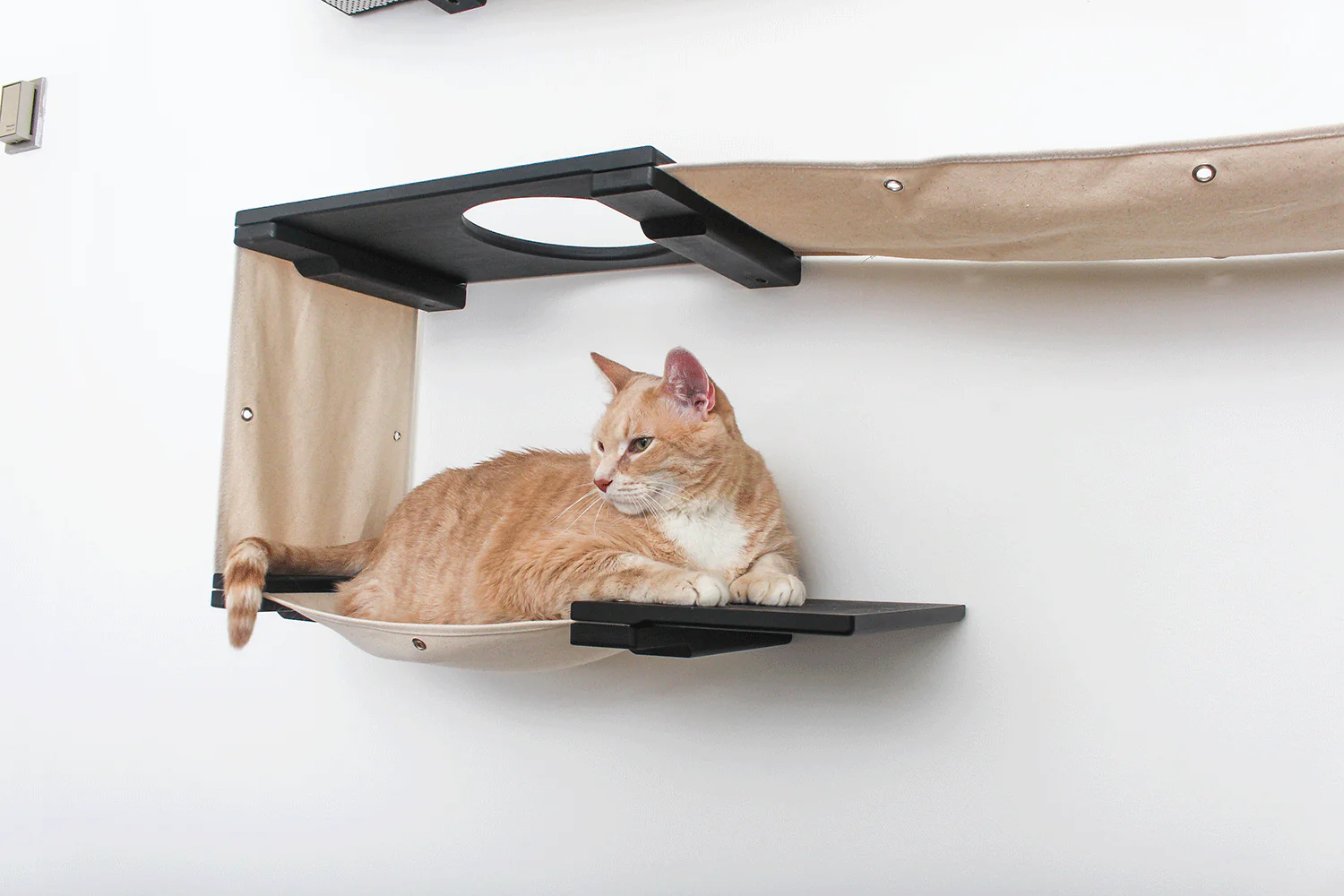 The Roman - A Wall Mounted Cat Scratcher Tree - Image 5