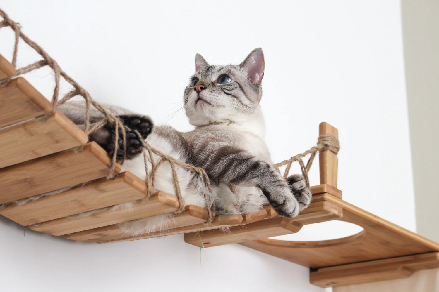 The Temple - Giant Cat Tree on Wall - Image 13