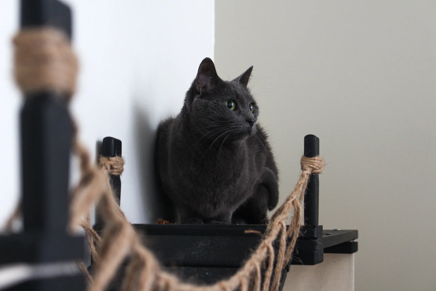 The Temple - Giant Cat Tree on Wall - Image 14