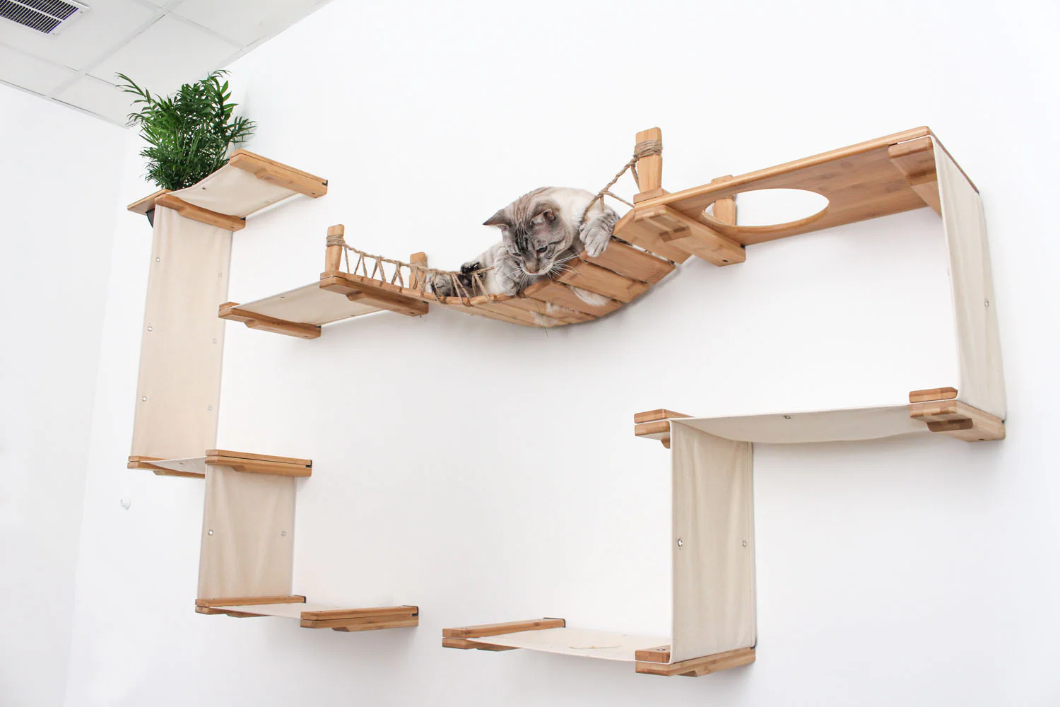 The Temple - Giant Cat Tree on Wall - Image 3