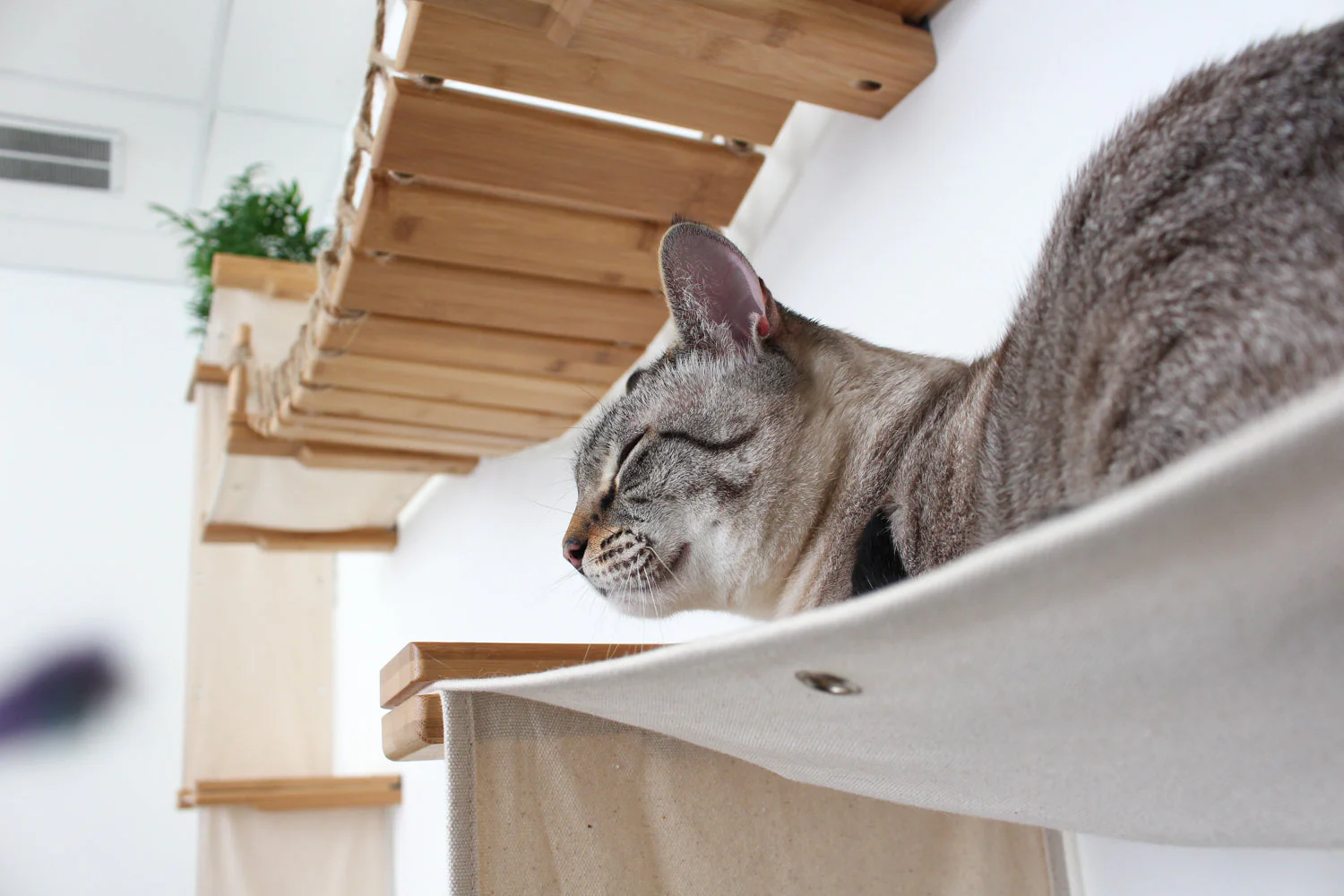 The Temple - Giant Cat Tree on Wall - Image 6
