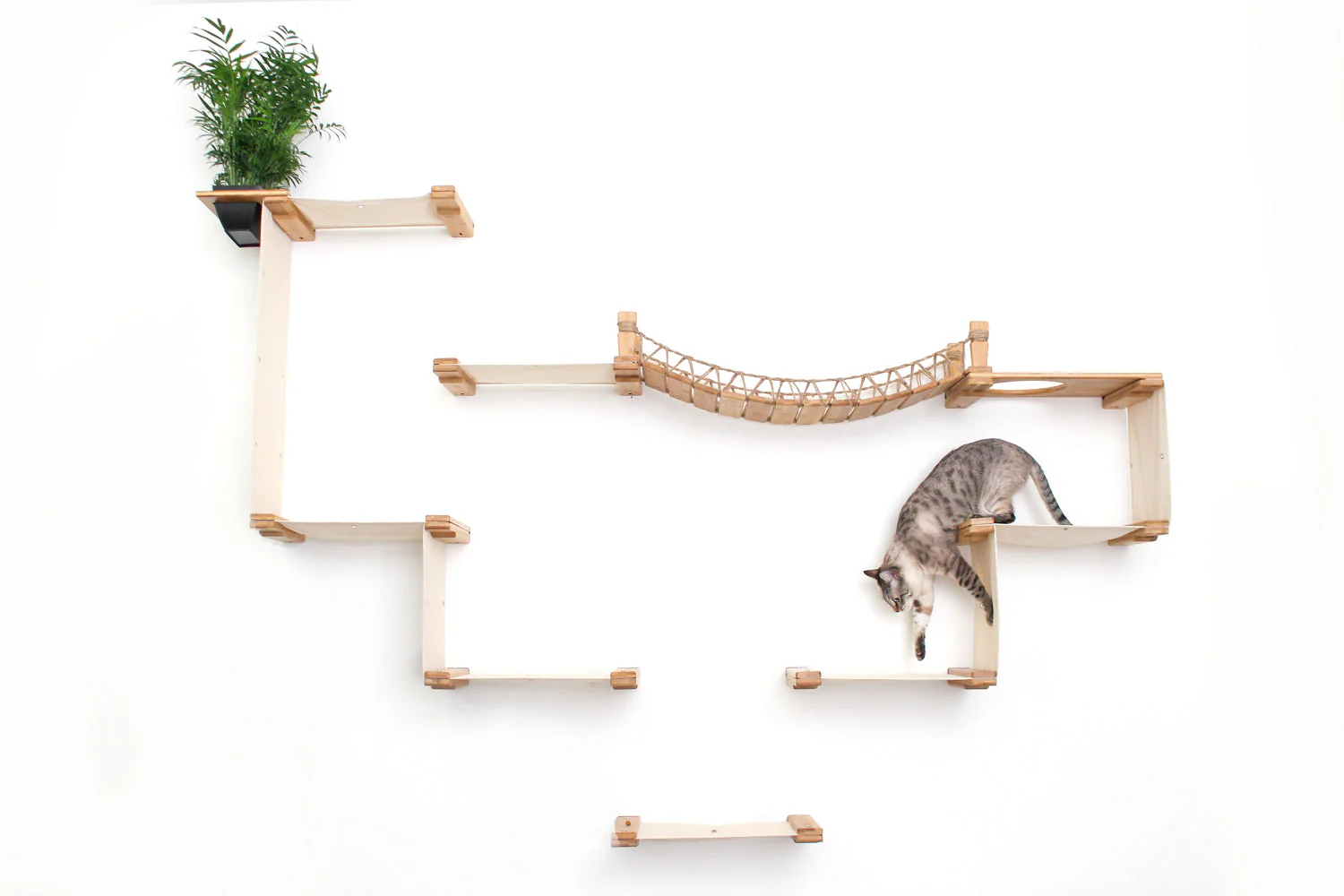 The Temple - Giant Cat Tree on Wall - Image 7