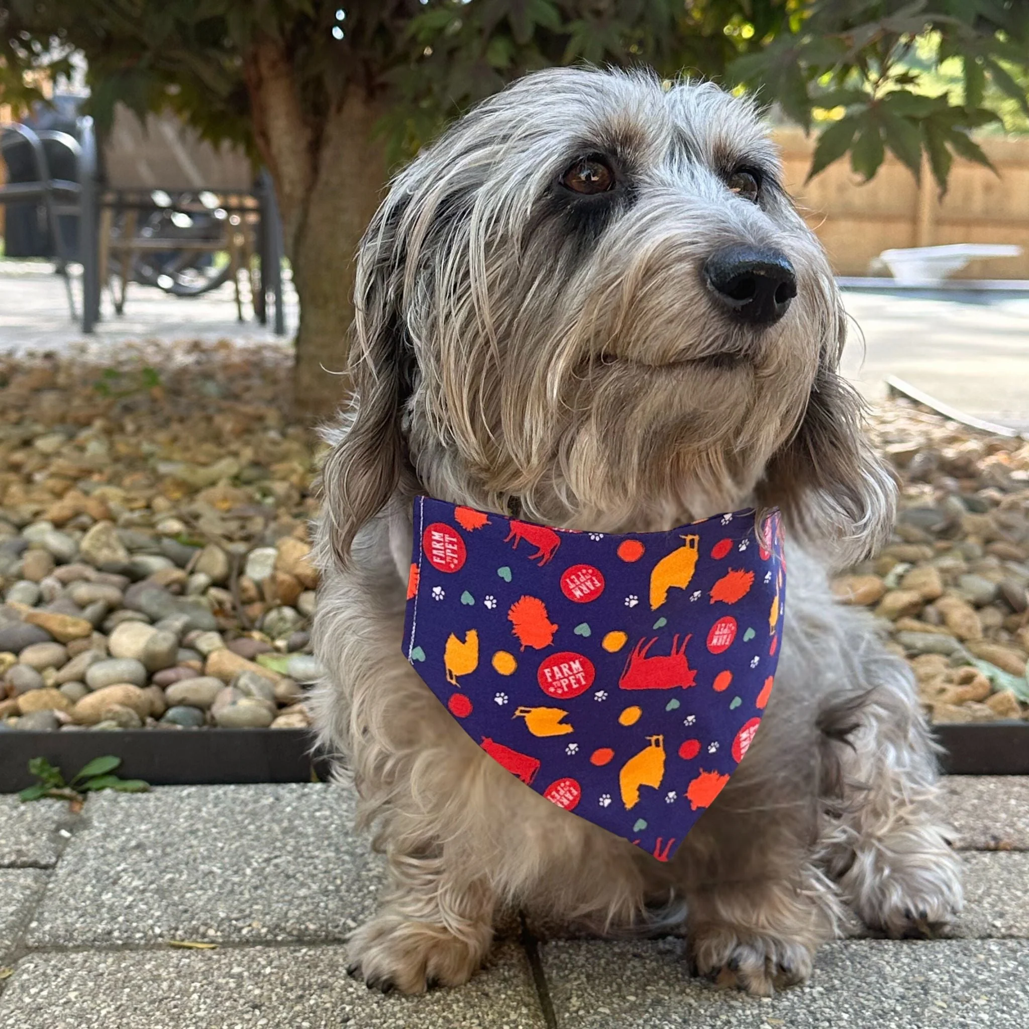 Tie-on Dog Bandana | Adjustable String-tie Bandana for Dogs and Cats - Image 3