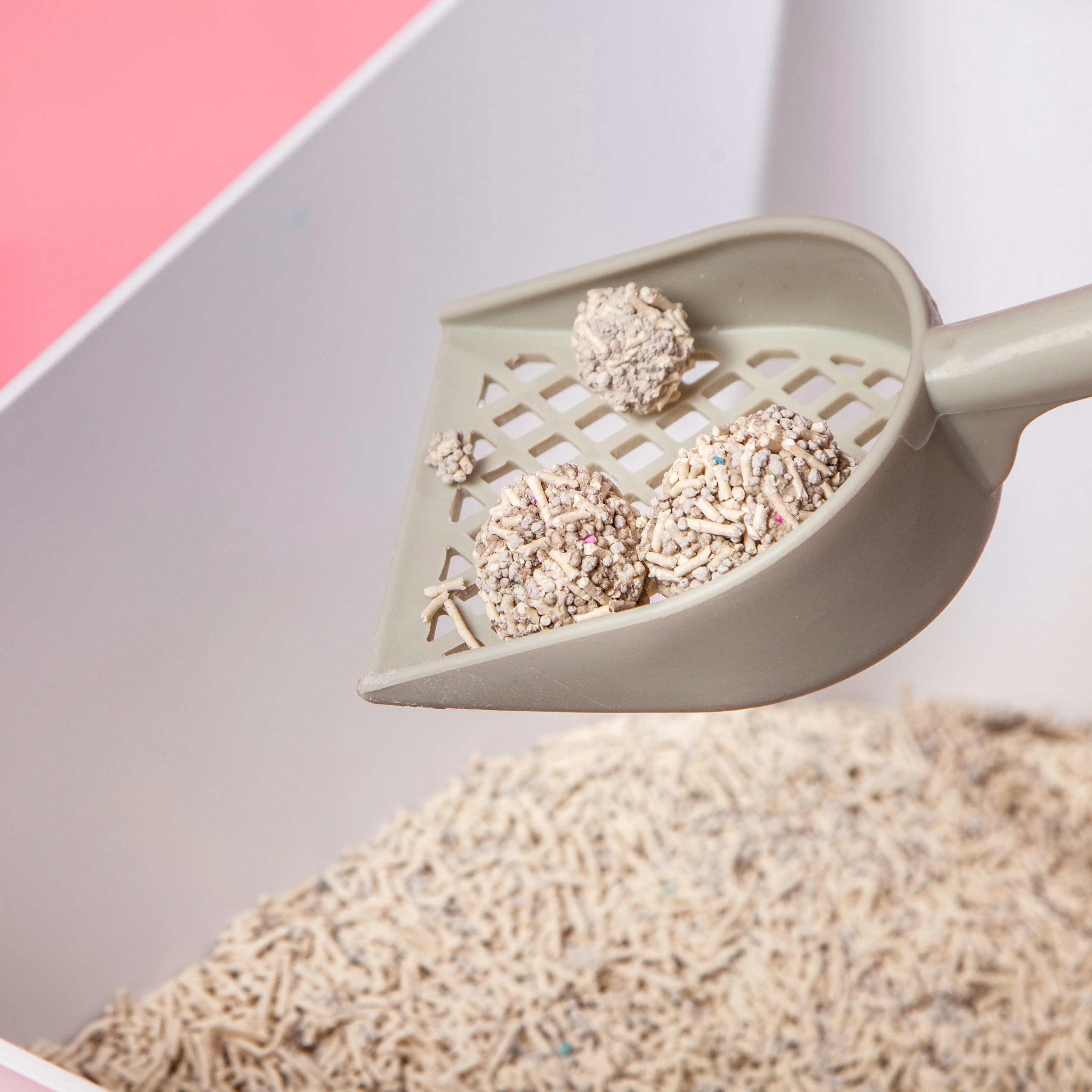 Touchcat 'Litter-ally Natural' Absorbant and Clumping Cat Litter w/ New Technology - Natural Flavor - Image 4