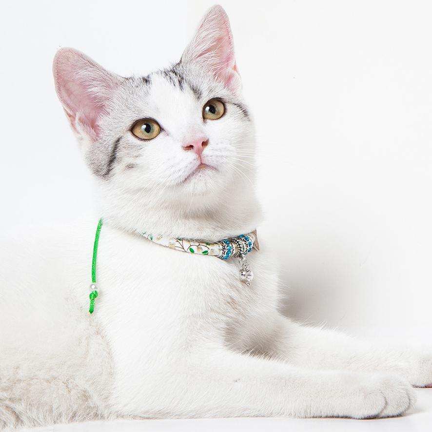 Touchcat Lucky Charms Designer Cable Necklace Cat Collar - Image 10