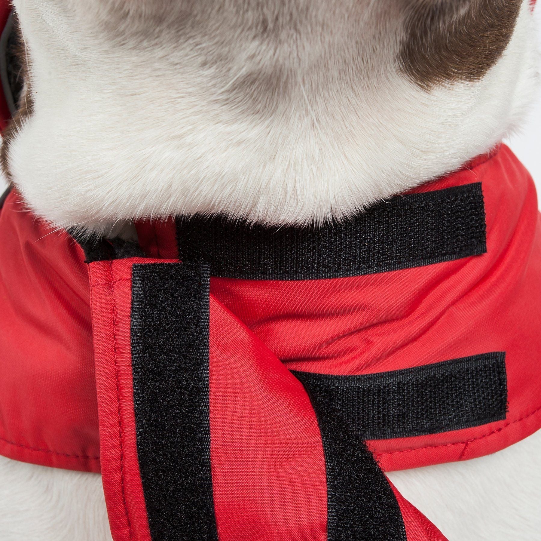 Touchdog ® Lightening-Shield 2-in-1 Dual-Removable-Layered Waterproof Dog Jacket - Image 27