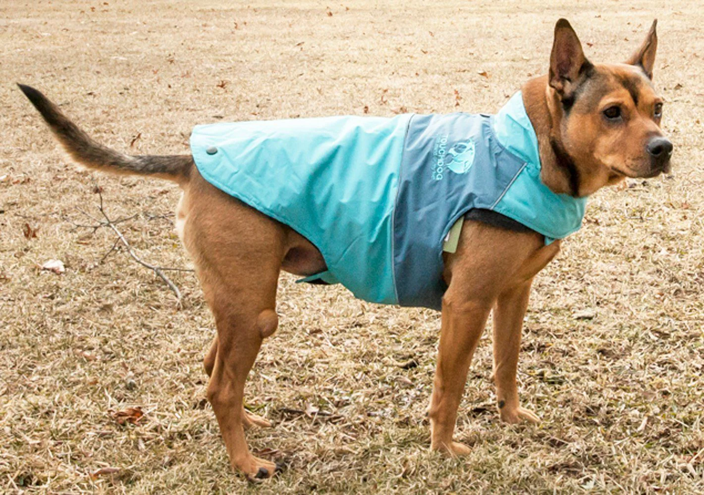 Touchdog ® Lightening-Shield 2-in-1 Dual-Removable-Layered Waterproof Dog Jacket - Image 32