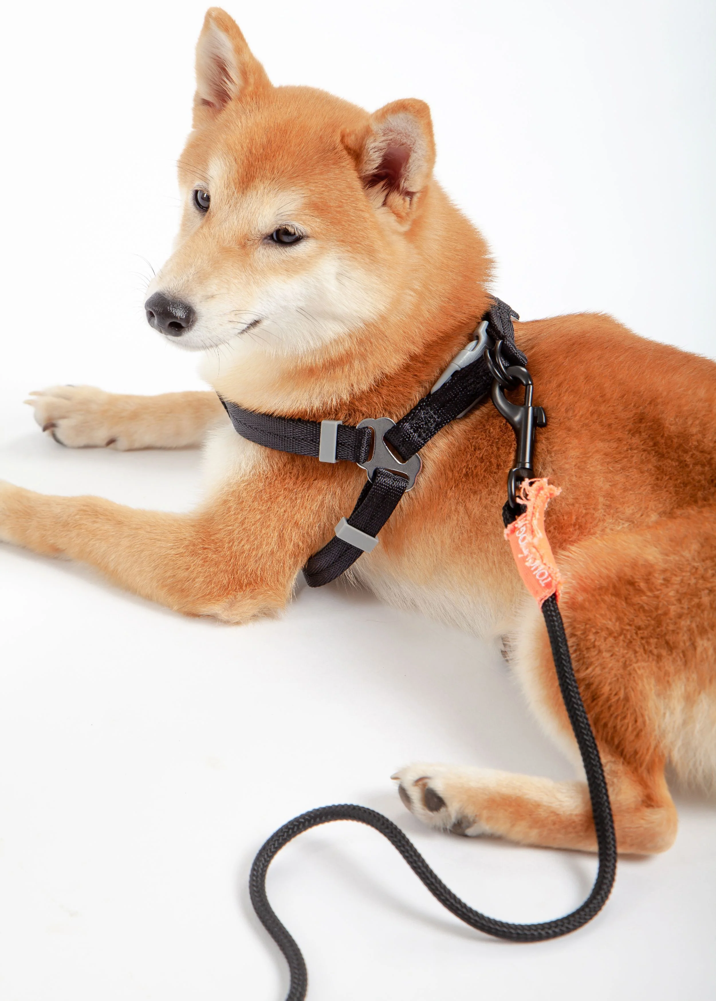 Touchdog ® 'Macaron' 2-in-1 Durable Nylon Dog Harness and Leash - Image 12