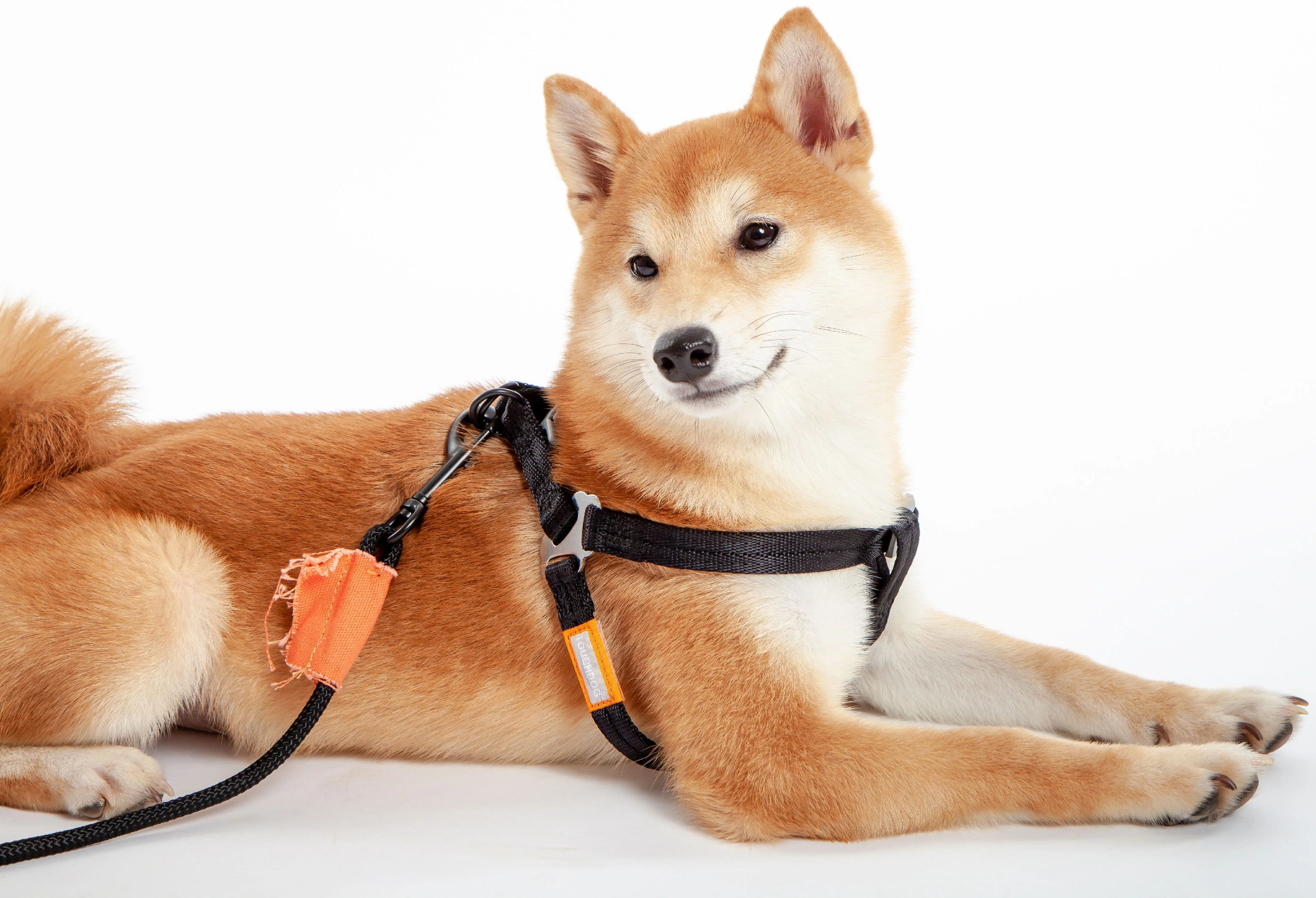 Touchdog ® 'Macaron' 2-in-1 Durable Nylon Dog Harness and Leash - Image 13