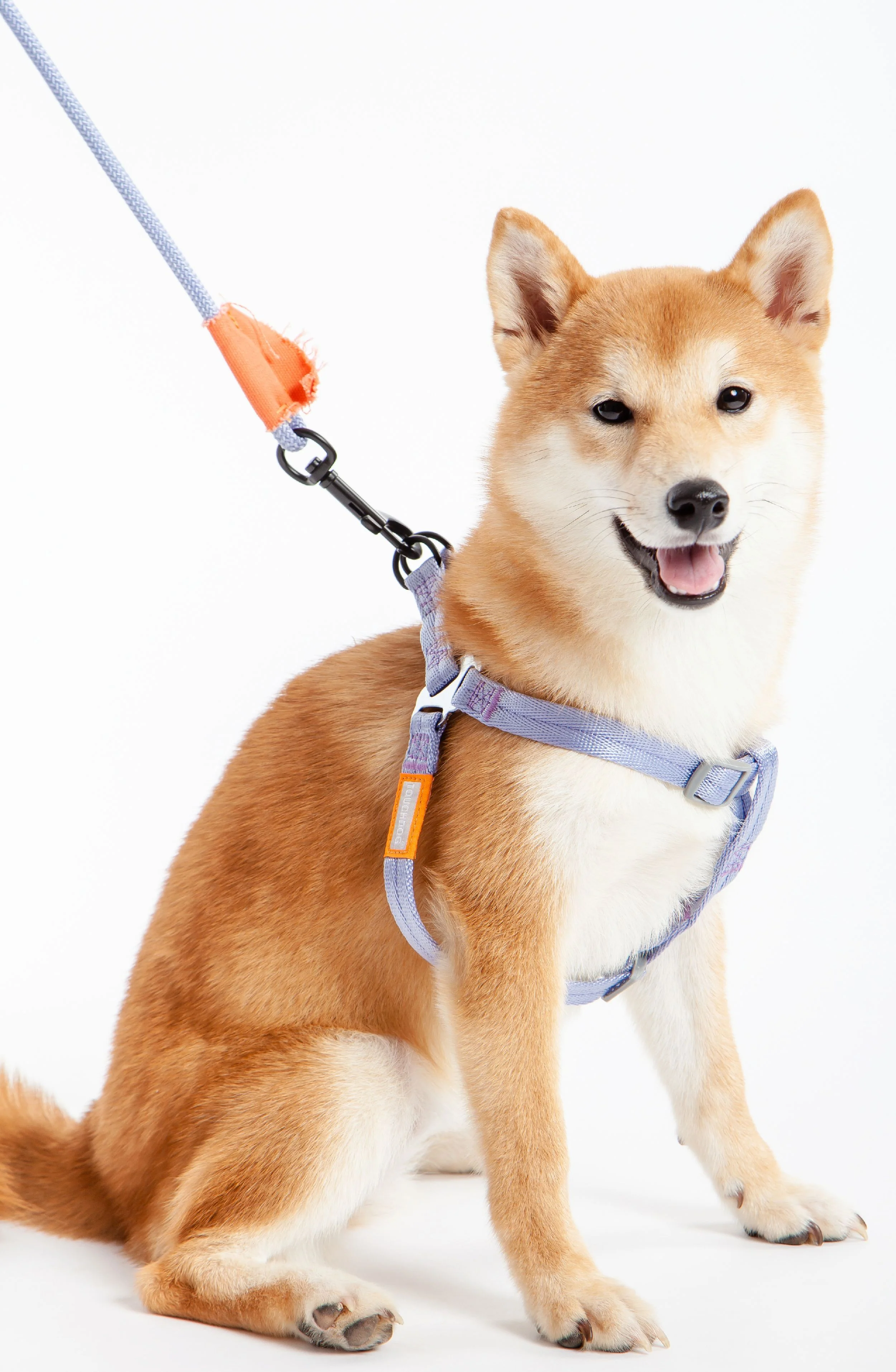Touchdog ® 'Macaron' 2-in-1 Durable Nylon Dog Harness and Leash - Image 3