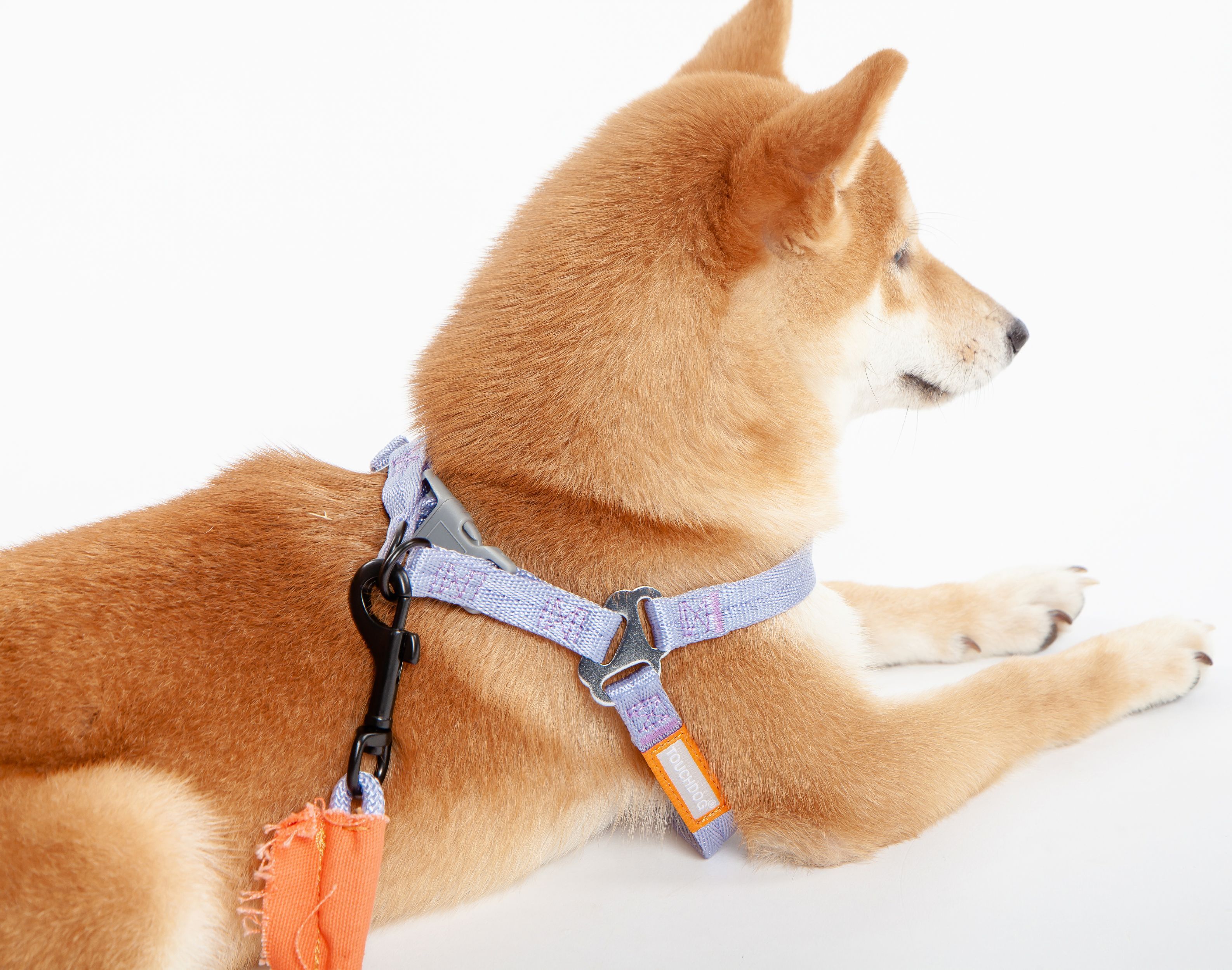 Touchdog ® 'Macaron' 2-in-1 Durable Nylon Dog Harness and Leash - Image 4