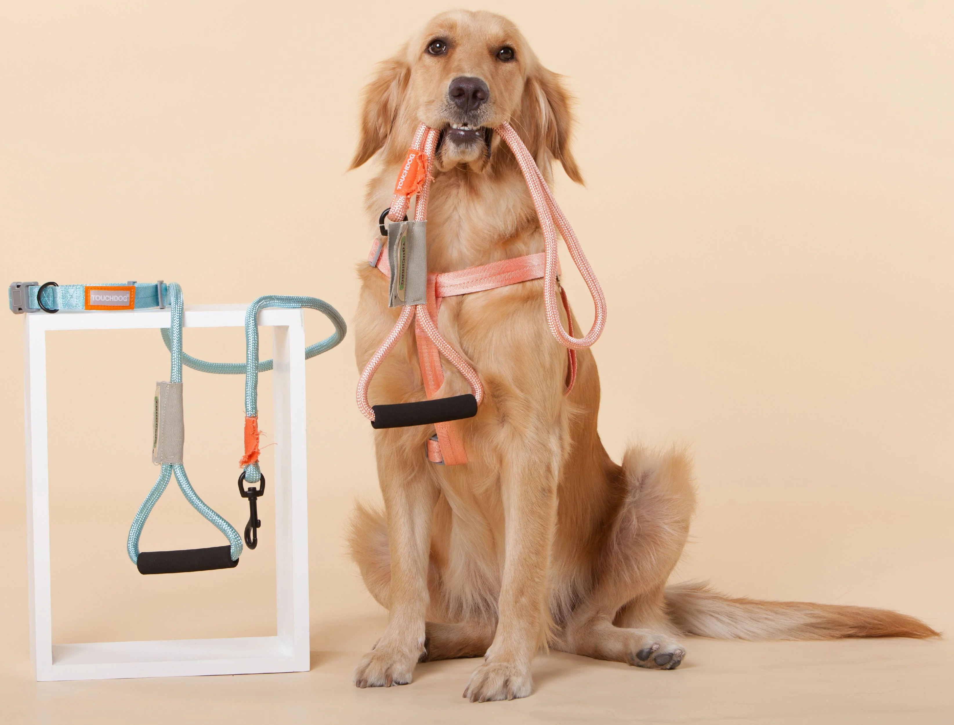 Touchdog ® 'Macaron' 2-in-1 Durable Nylon Dog Harness and Leash - Image 5