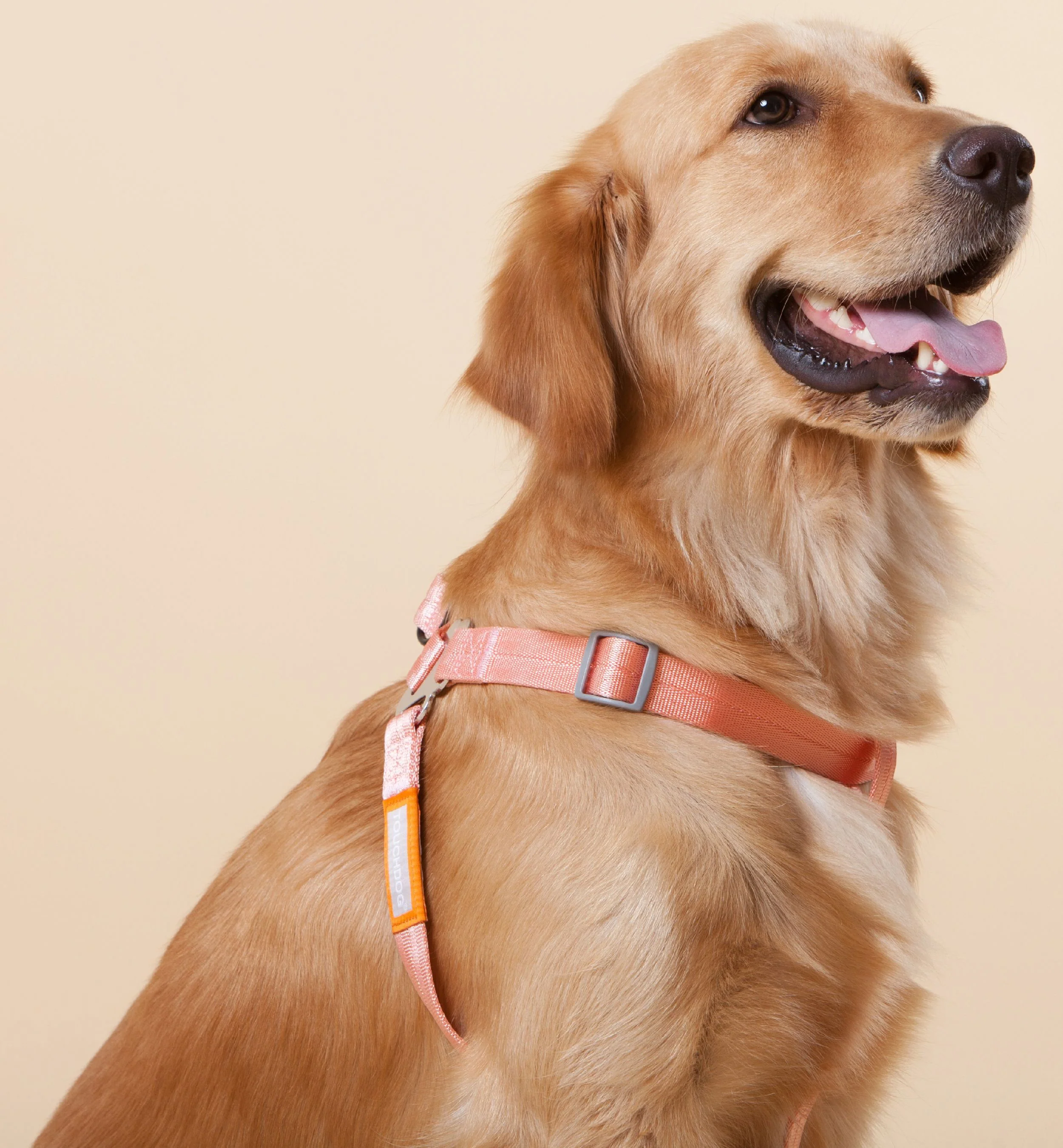 Touchdog ® 'Macaron' 2-in-1 Durable Nylon Dog Harness and Leash - Image 9