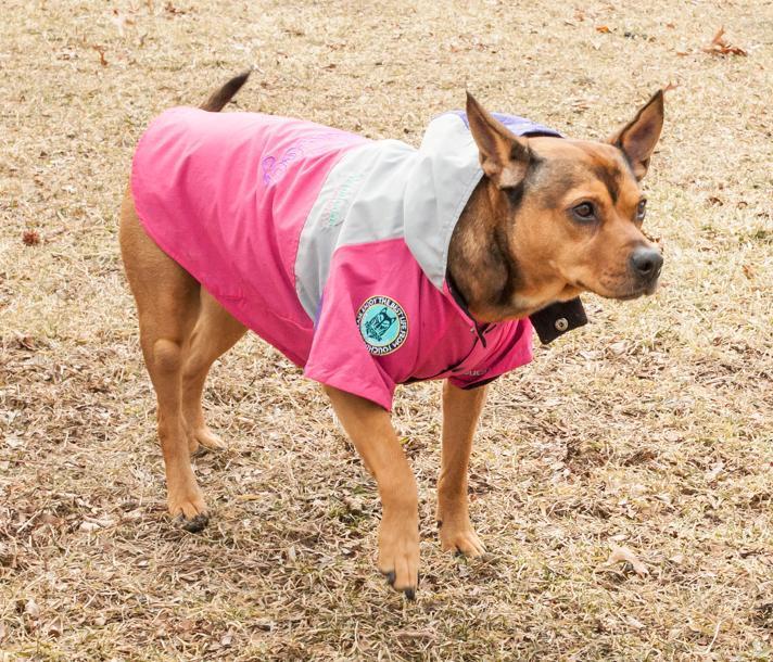 Touchdog ® 'Mount Pinnacle' Insulated Performance Retro Ski Dog Jacket - Image 9