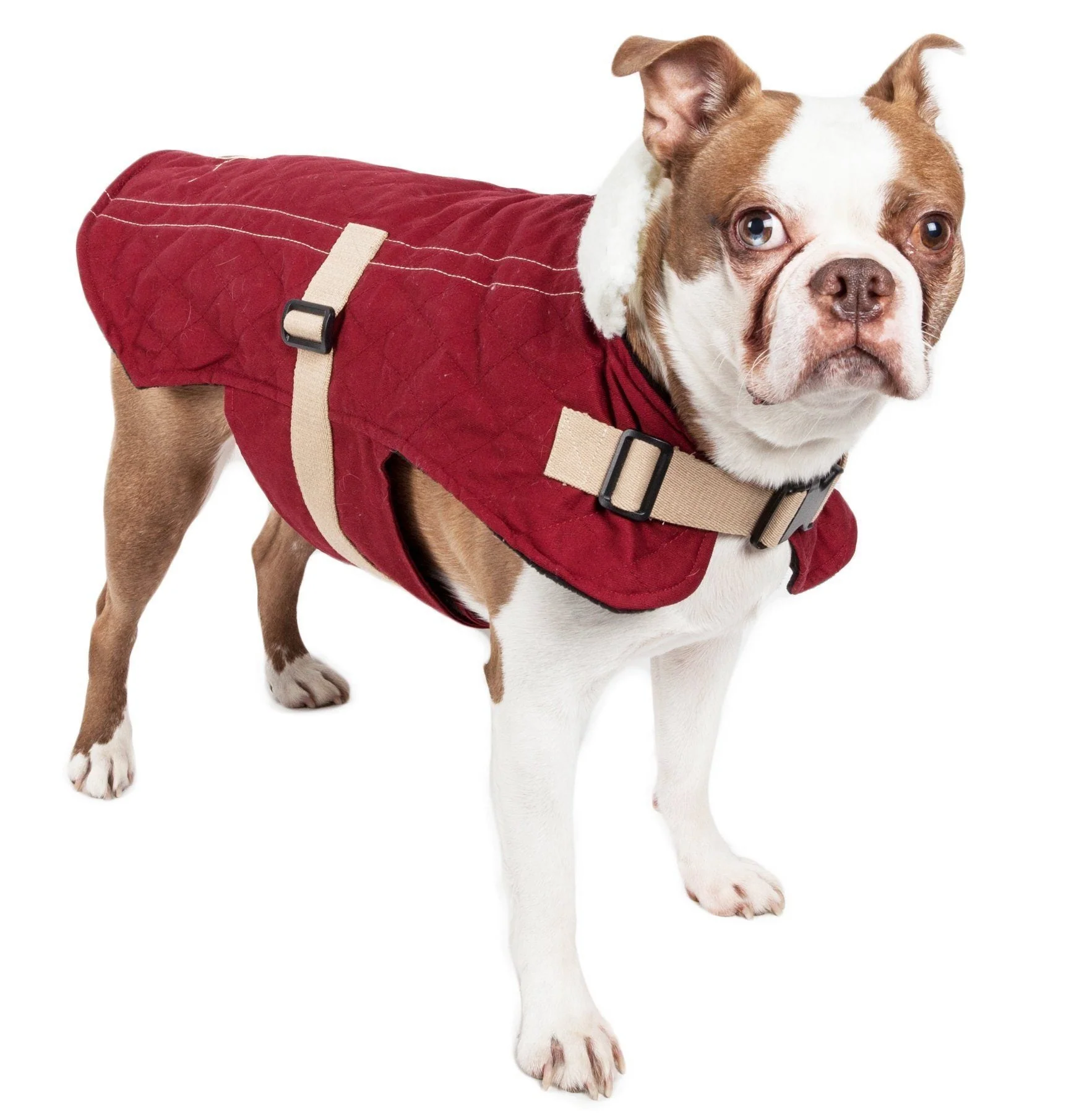 Touchdog ® Original Sherpa-Bark Designer Fashion Dog Coat - Image 3