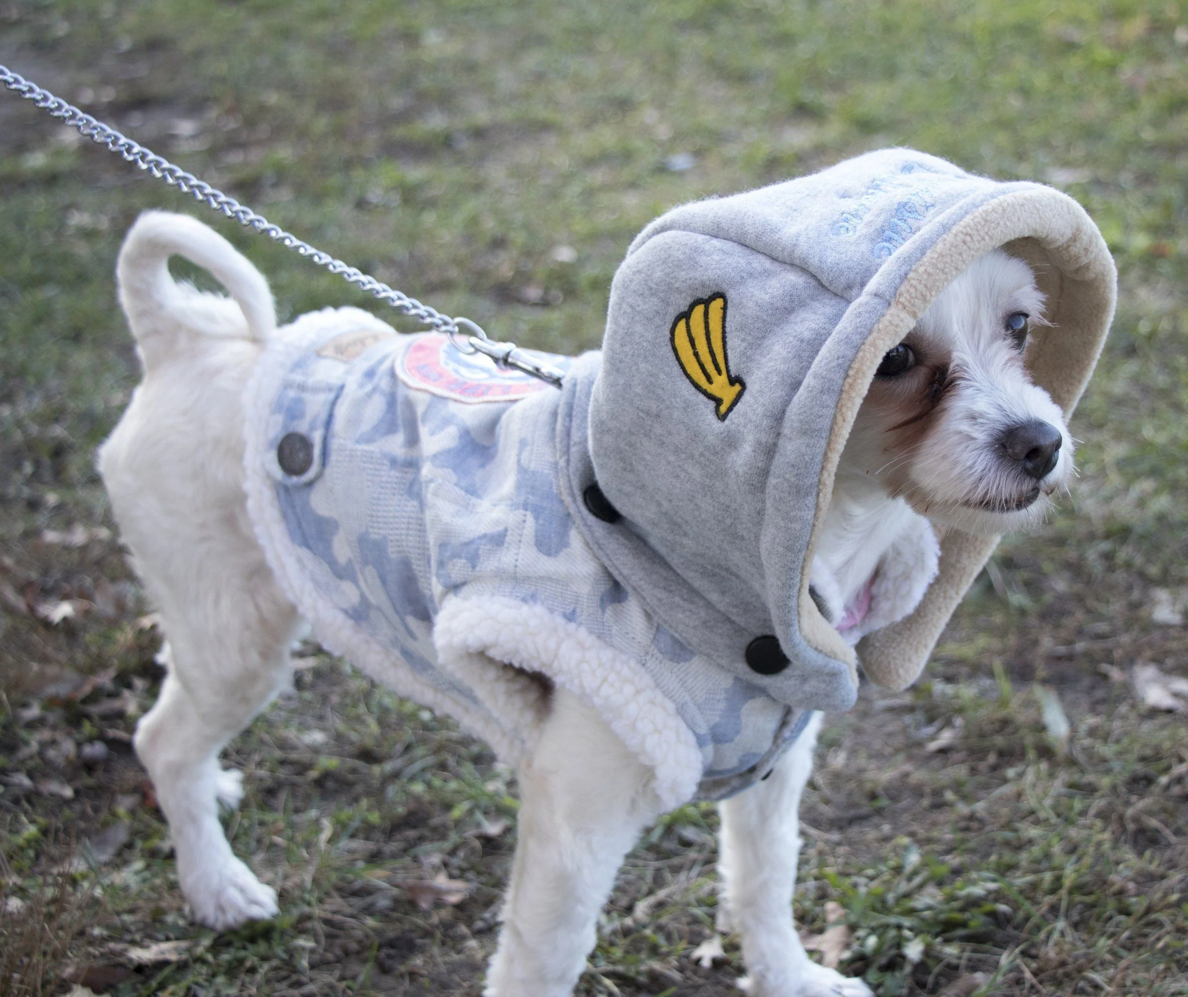 Touchdog ® Outlaw Embellished Retro-Denim Hooded Dog Sweater Coat - Image 3