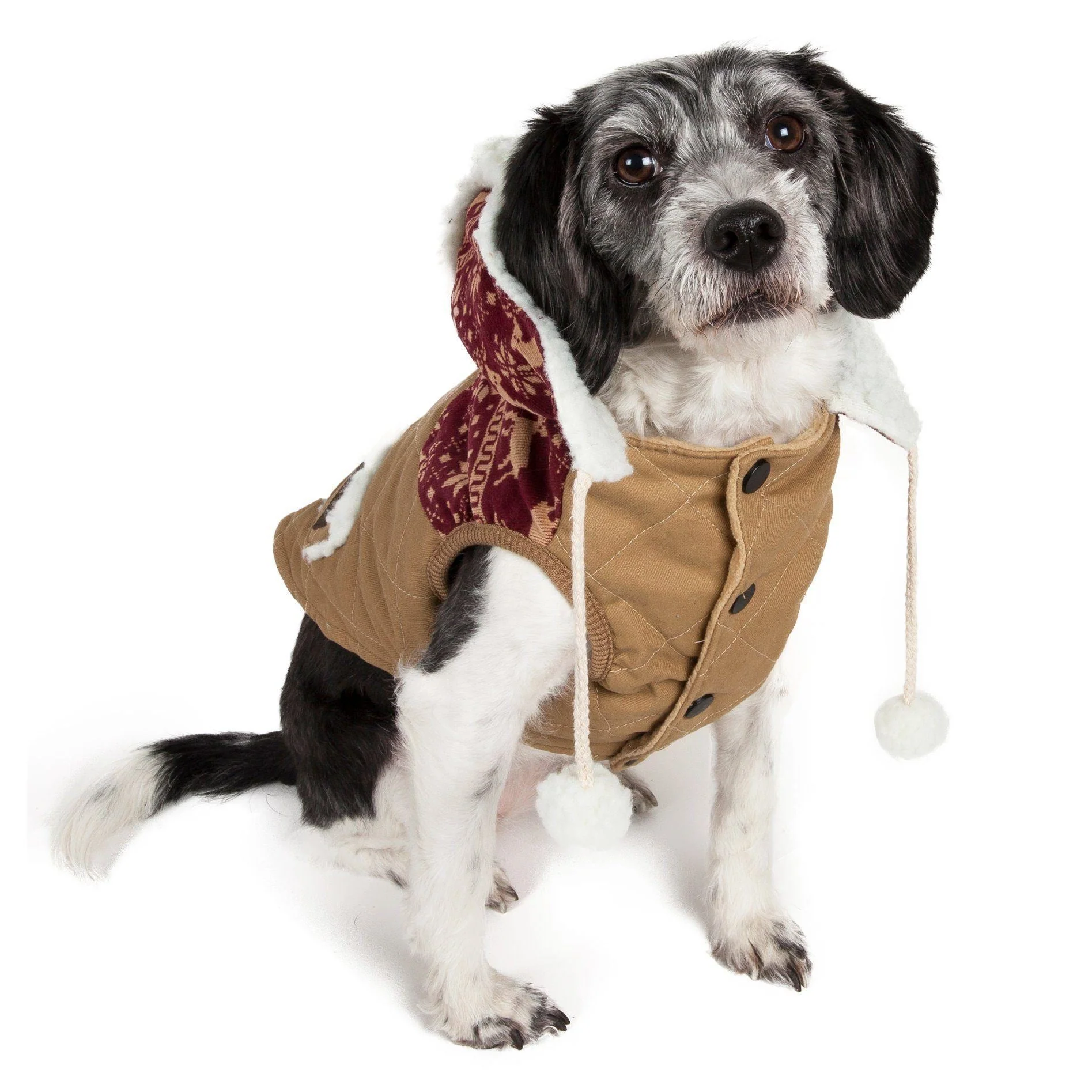 Touchdog ® 'Snowadayz' Pom Pom Hooded Fashion Dog Jacket - Image 2