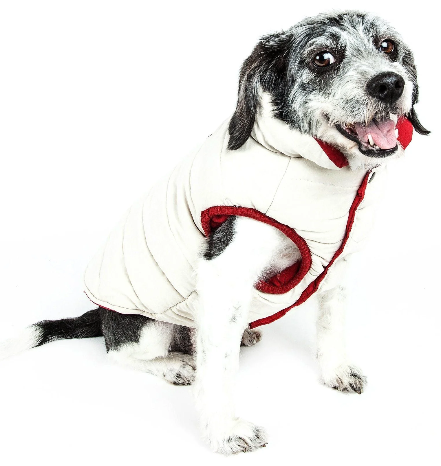 Touchdog ® Waggin Swag Ultra-Plush Insulated and Reversible Dog Coat - Image 13