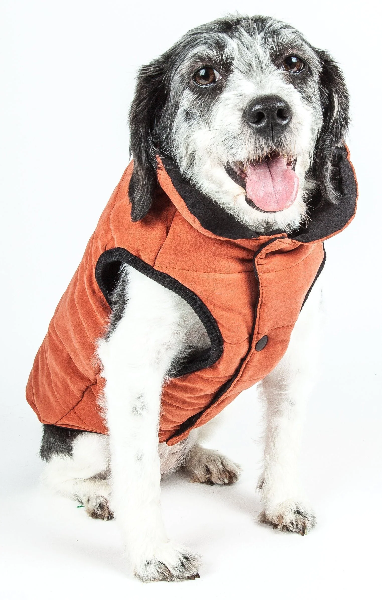 Touchdog ® Waggin Swag Ultra-Plush Insulated and Reversible Dog Coat - Image 19