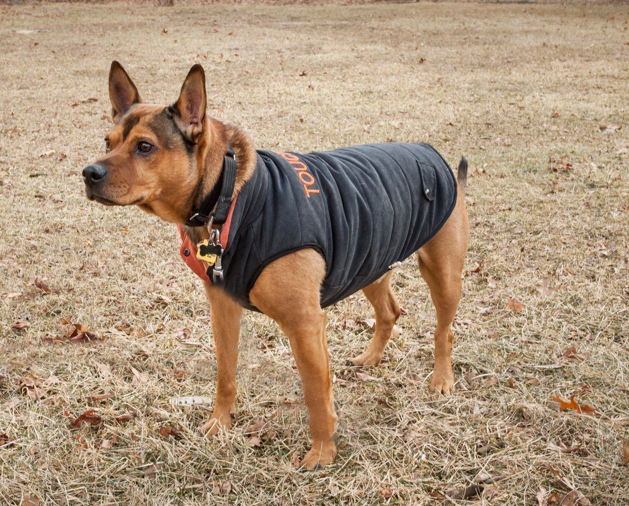Touchdog ® Waggin Swag Ultra-Plush Insulated and Reversible Dog Coat - Image 28