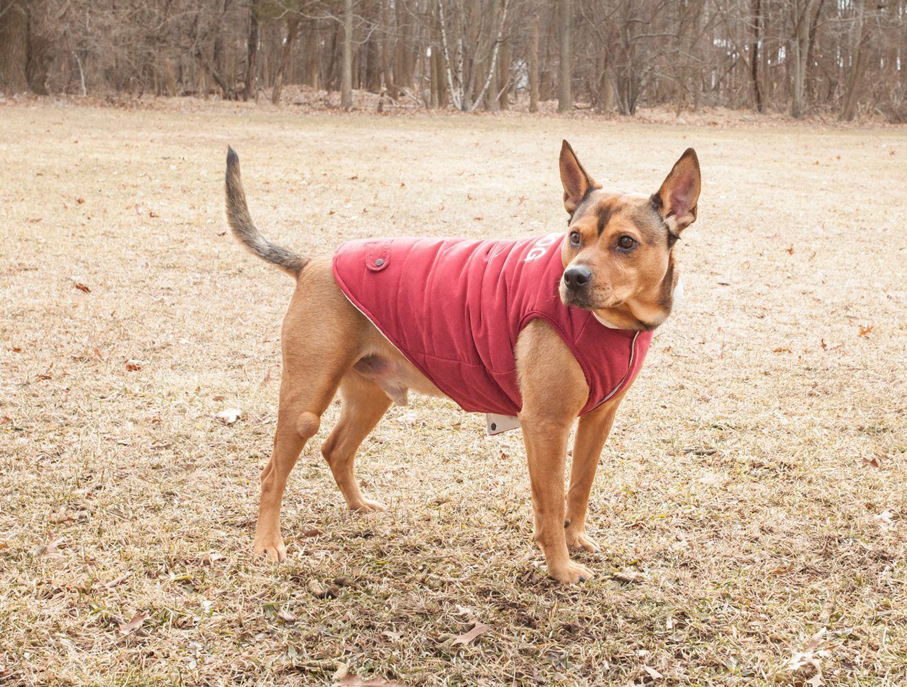 Touchdog ® Waggin Swag Ultra-Plush Insulated and Reversible Dog Coat - Image 29