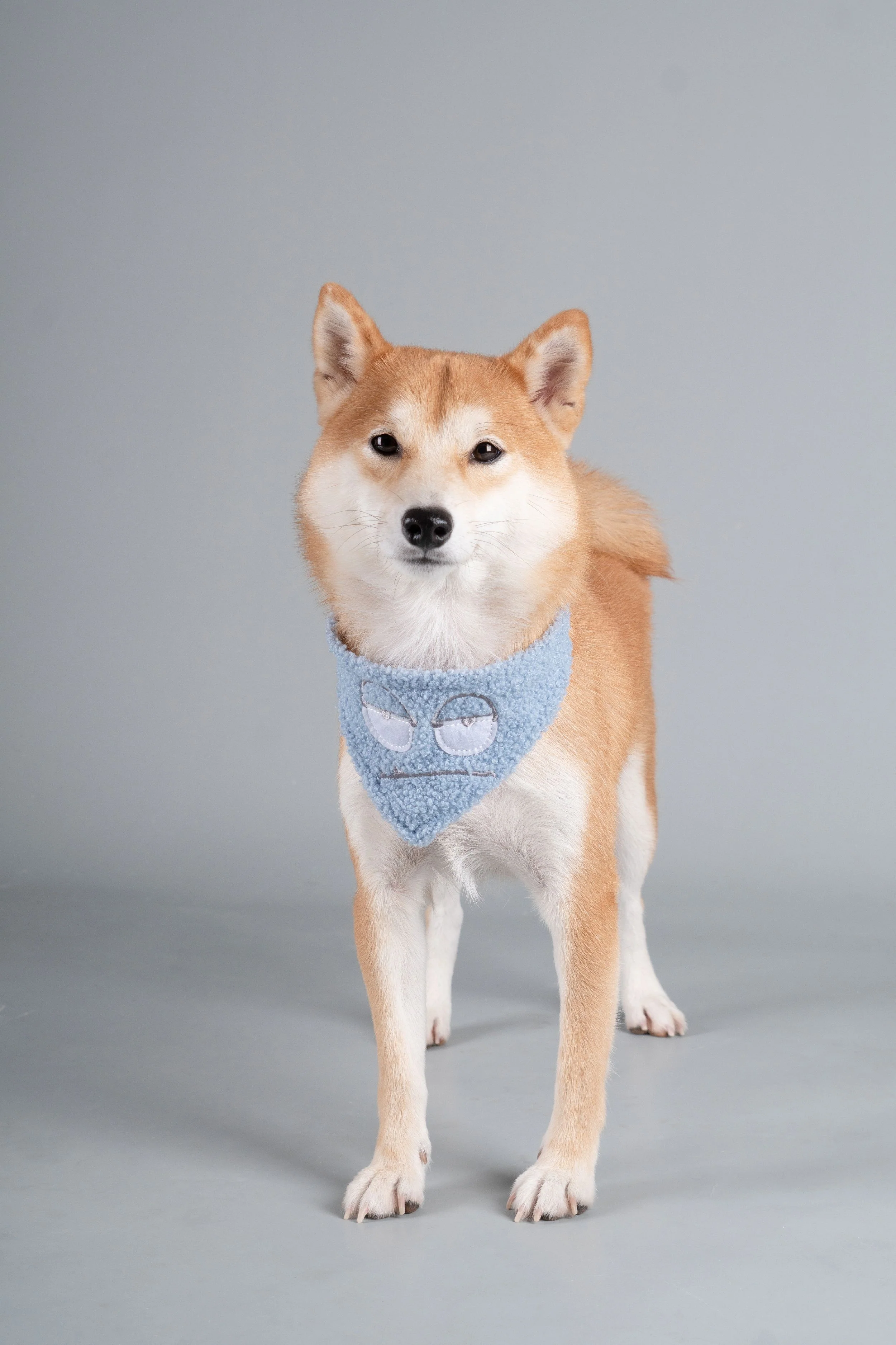Touchdog ®'Dizzy-Eyed Cyclops' Cotton Hook-and-Loop Dog Bandana and Scarf - Image 3