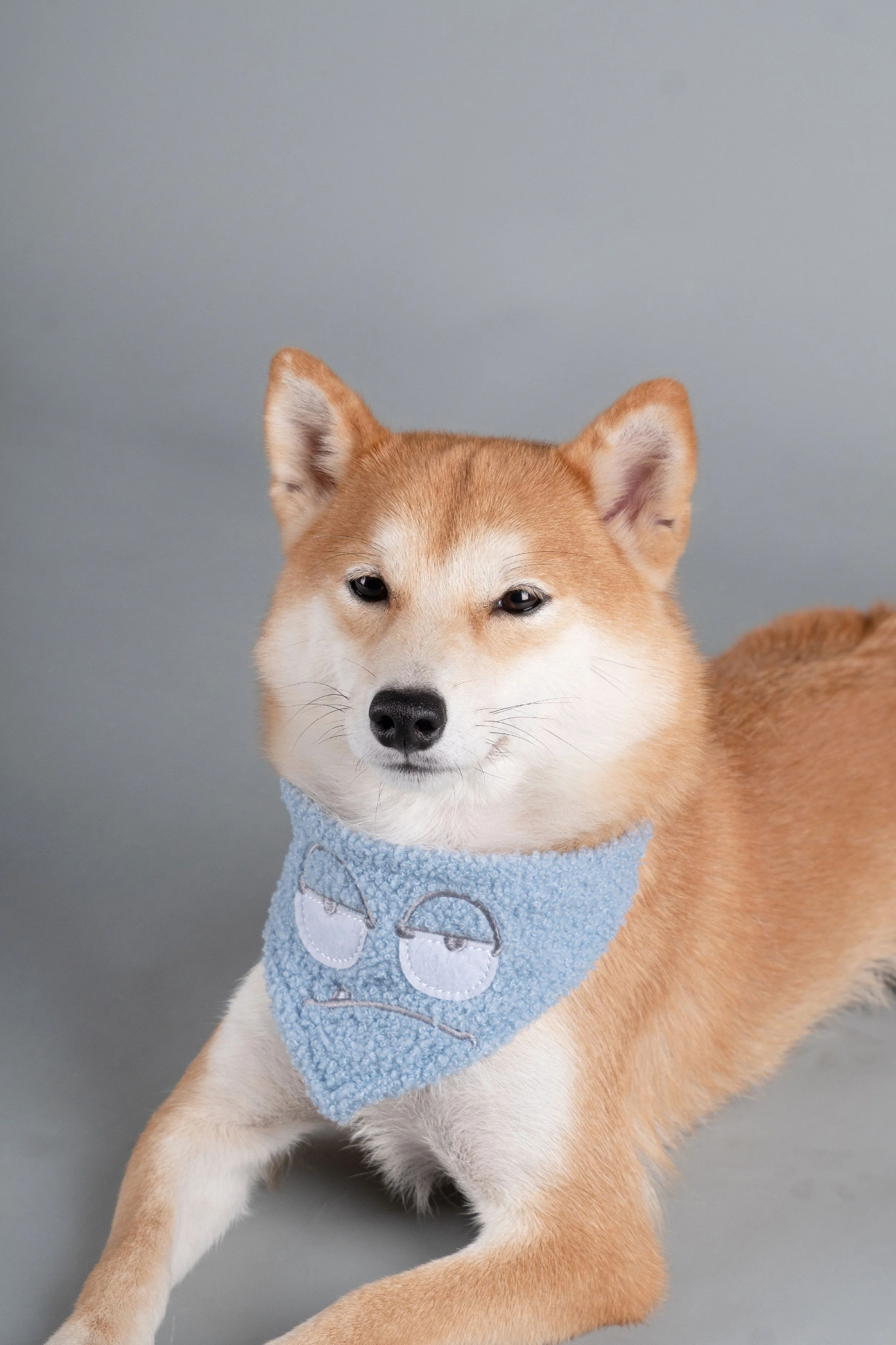 Touchdog ®'Dizzy-Eyed Cyclops' Cotton Hook-and-Loop Dog Bandana and Scarf - Image 6