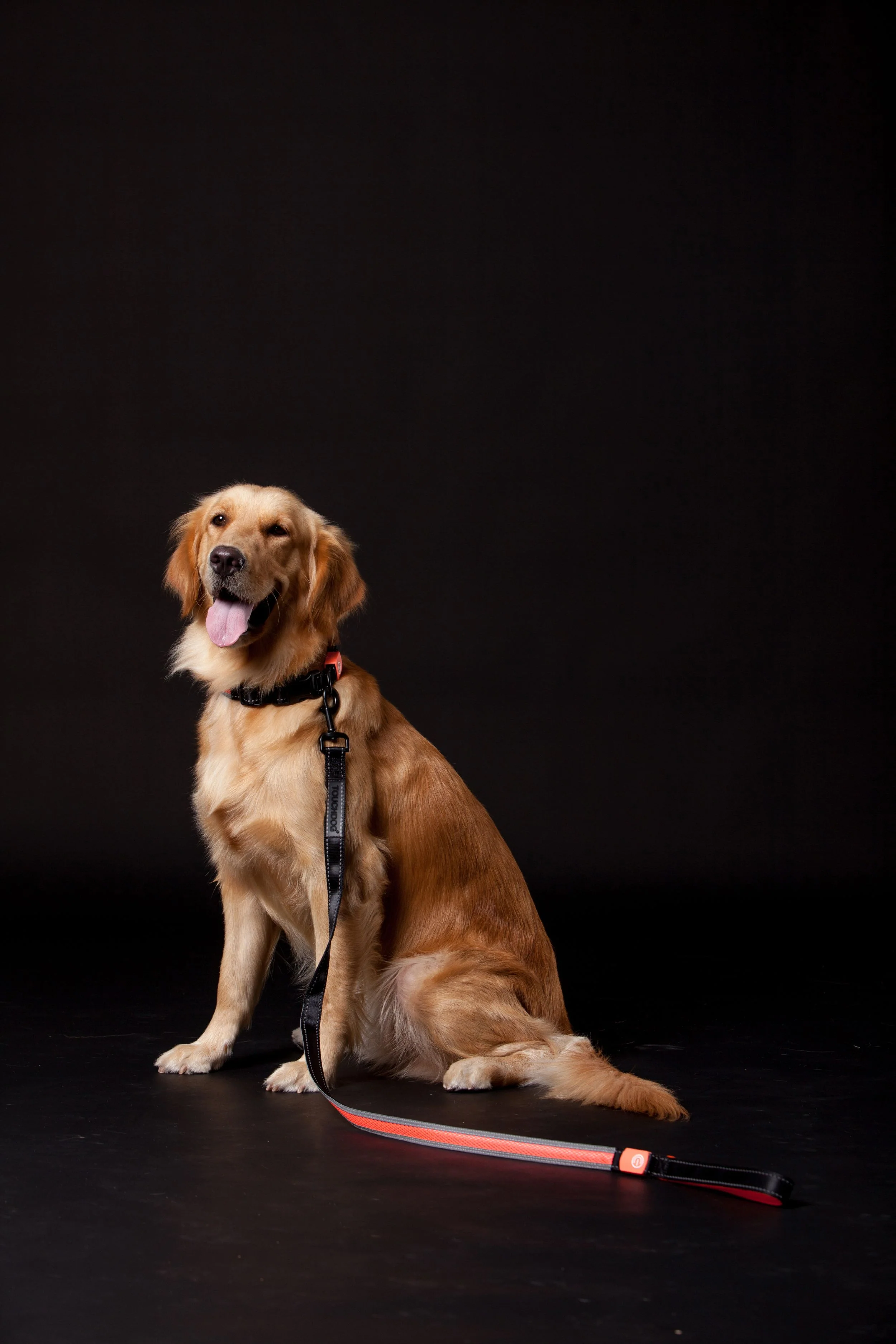Touchdog ®'Lumiglow' 2-in-1 USB Charging LED Lighting Water-Resistant Dog Leash and Collar - Image 3
